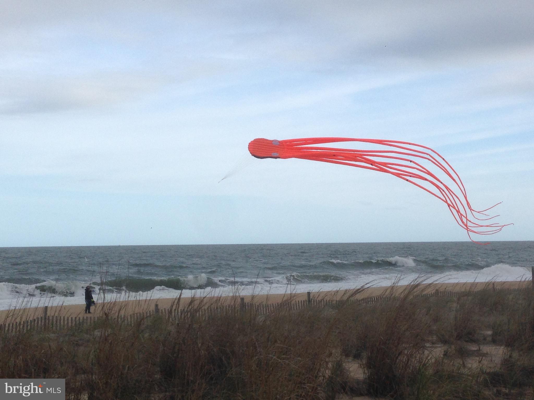 CAPE SHORES - Residential