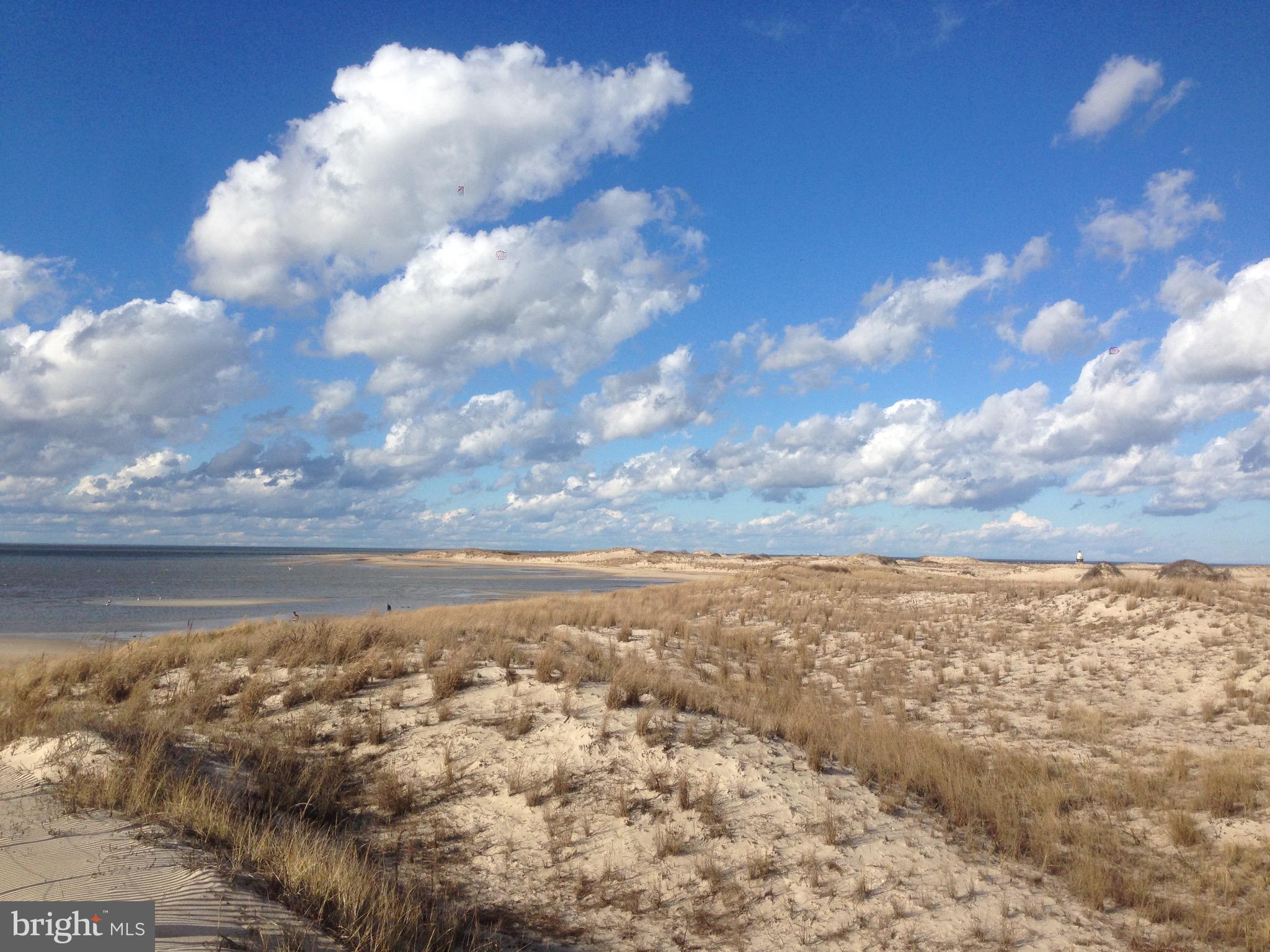 CAPE SHORES - Residential