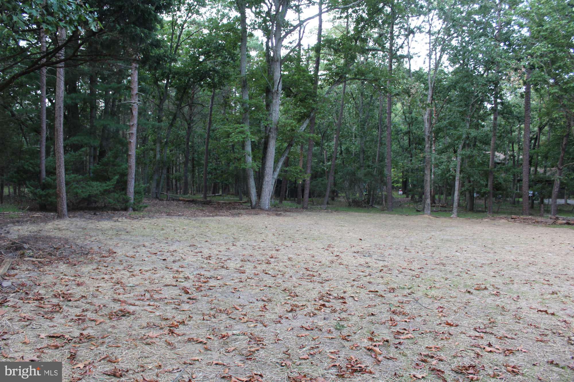 18 NYODA TRAIL