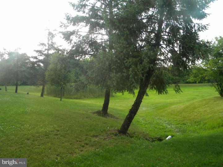 CUSHION PEAK - Residential