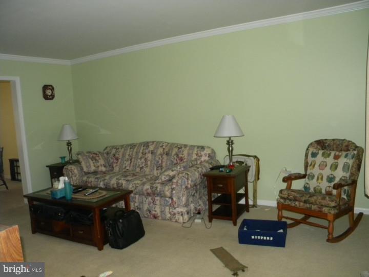 CUSHION PEAK - Residential