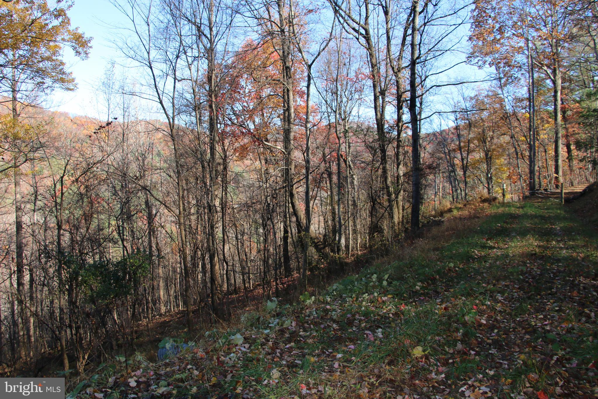 00 OVERLOOK MOUNTAIN ROAD