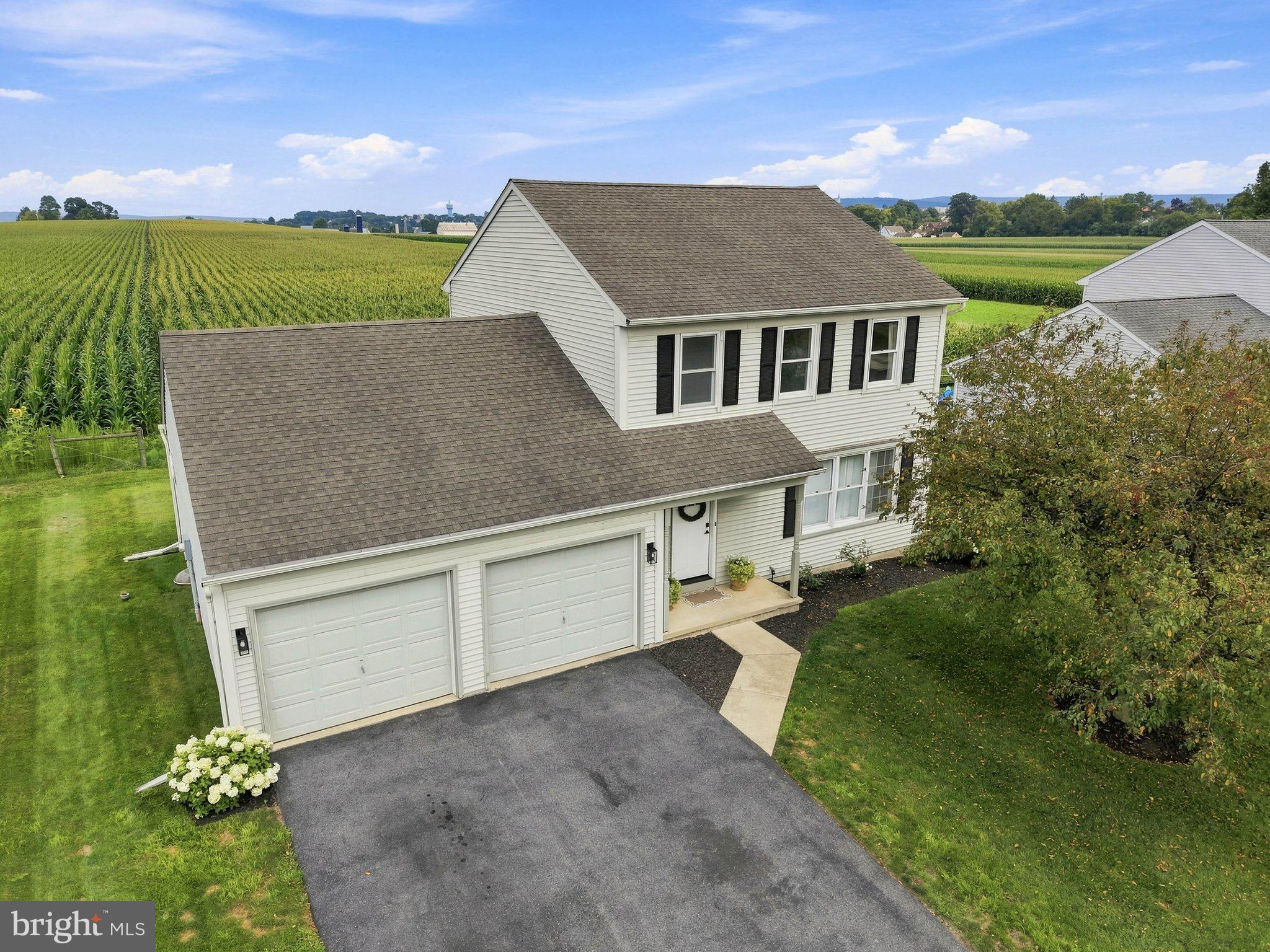 313 WILLOW LANE