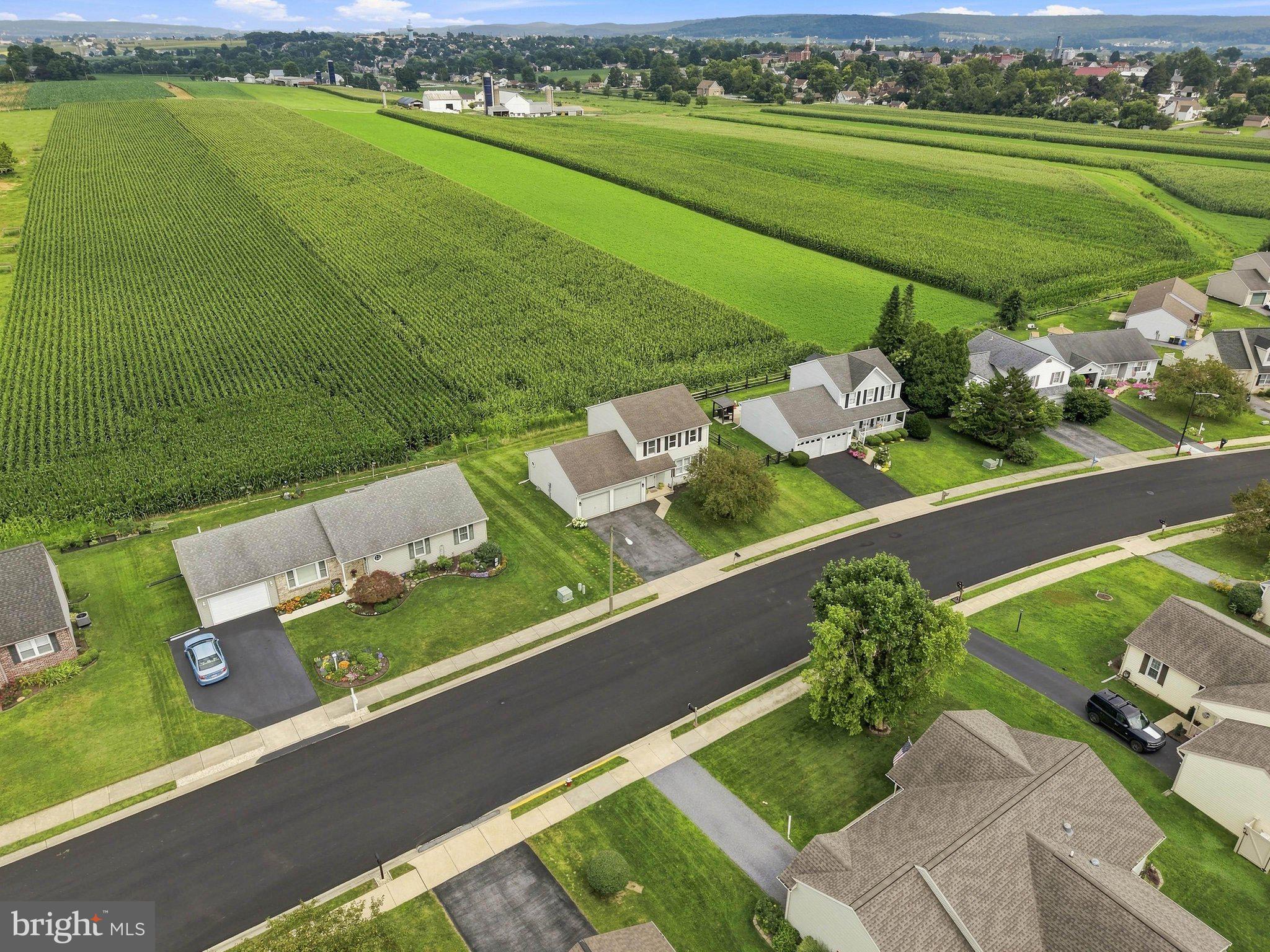 313 WILLOW LANE