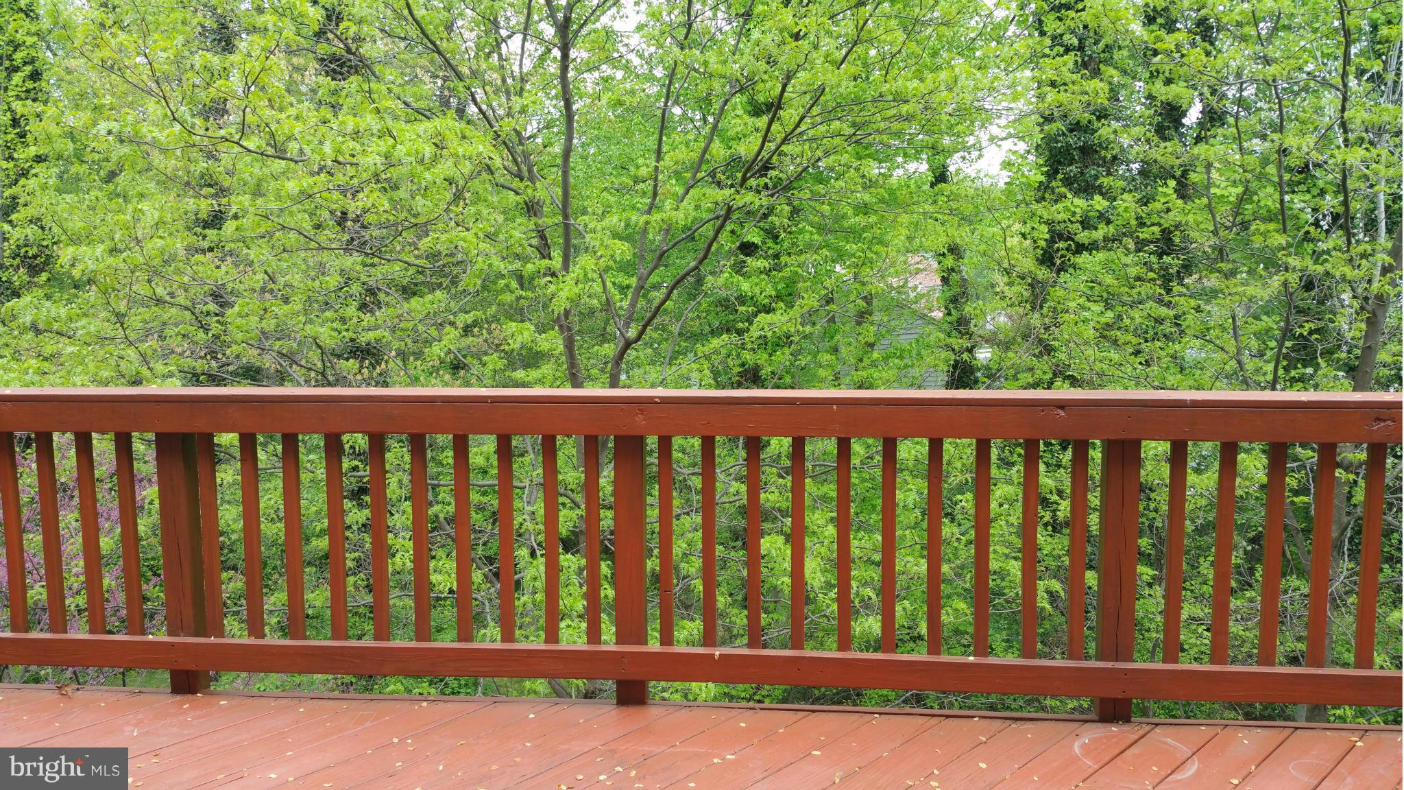 FAIR CHASE - Residential Lease