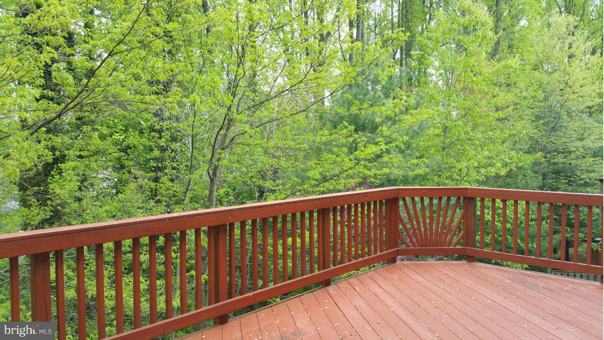 FAIR CHASE - Residential Lease