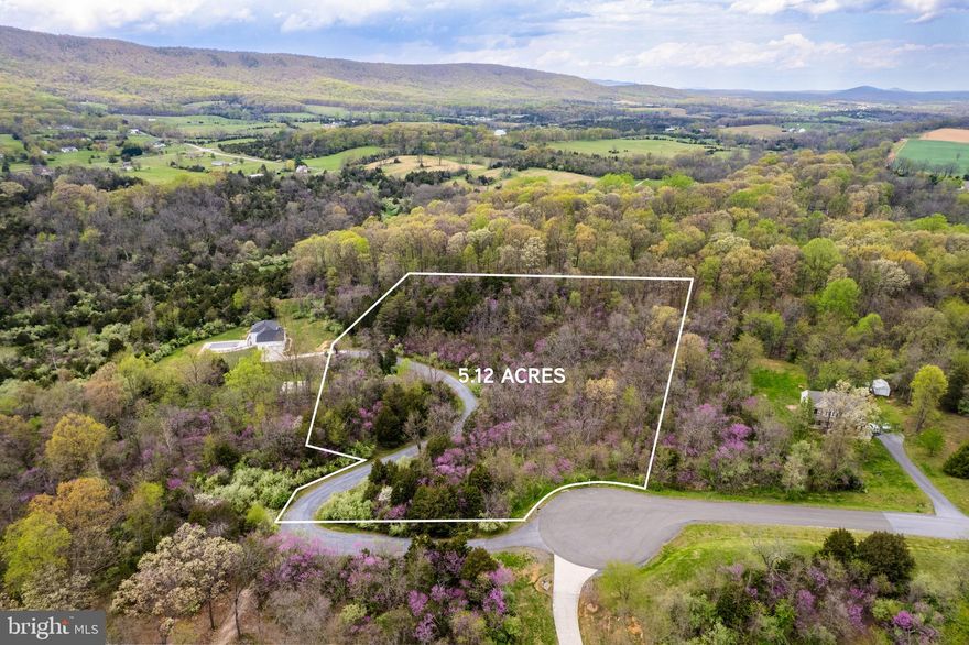 Perfect for Commuters and Nature Lovers! This 5.12-acre lot is tucked away in the peaceful Waverly View subdivision in Strasburg, VA, just minutes off Route 66. It’s an ideal spot to build your dream home, offering stunning mountain views and plenty of space to bring your vision to life.

***The best potential home site has already been partially cleared to highlight the ideal build spot. To check it out, go down the private drive shared to the left of the for-sale sign.

***You’re just 30 minutes from Winchester, an hour from Fairfax, and an hour from Harrisonburg. The views are beautiful in photos, but they’re even better in person—you really have to see it to appreciate how special this property is!