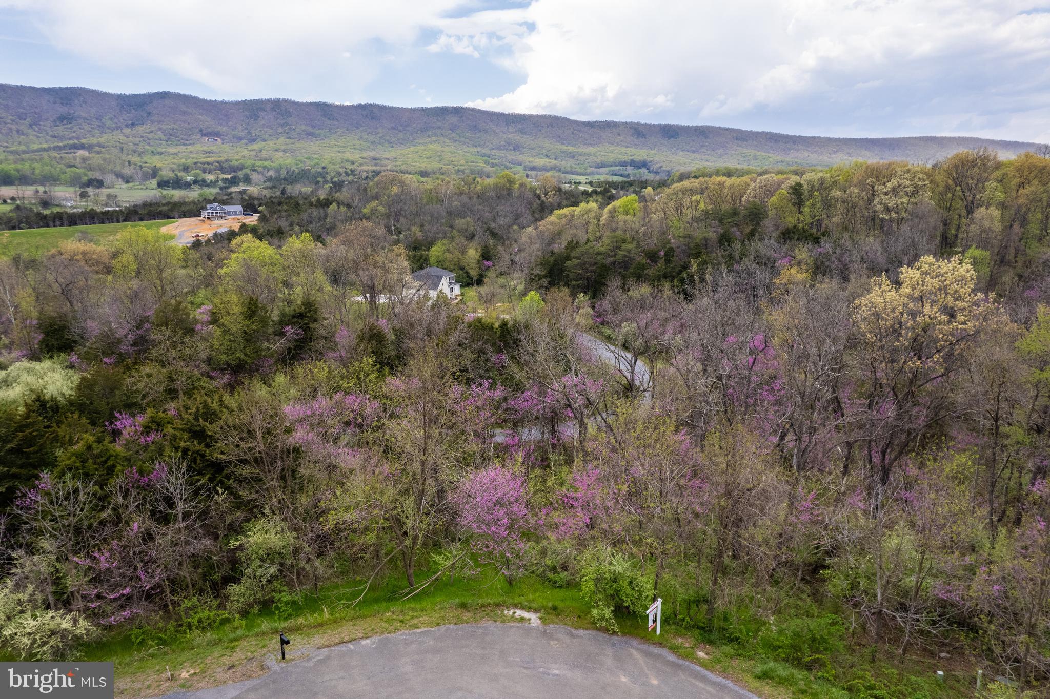 Lot #30 WAVERLY DRIVE