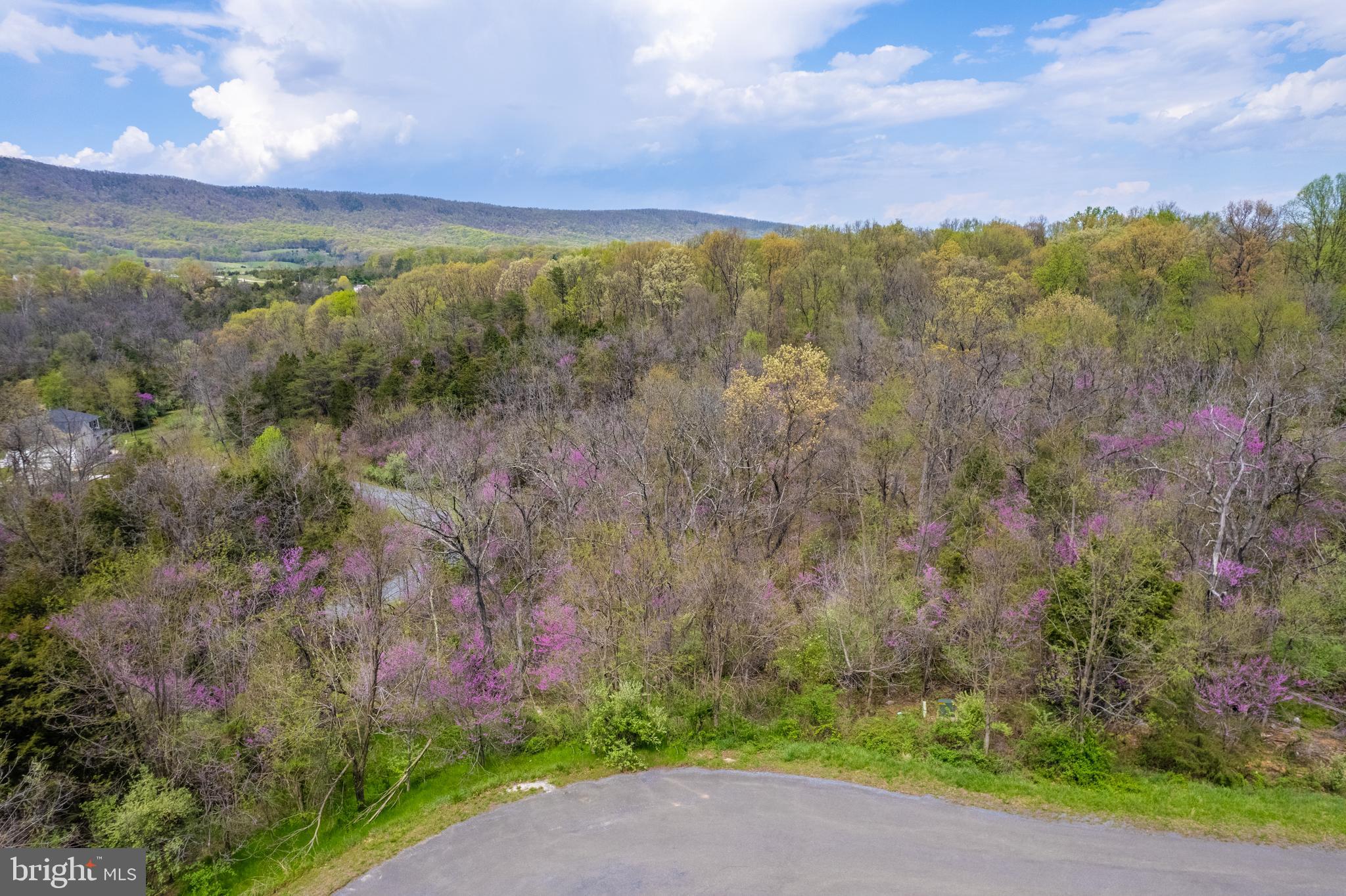 Lot #30 WAVERLY DRIVE