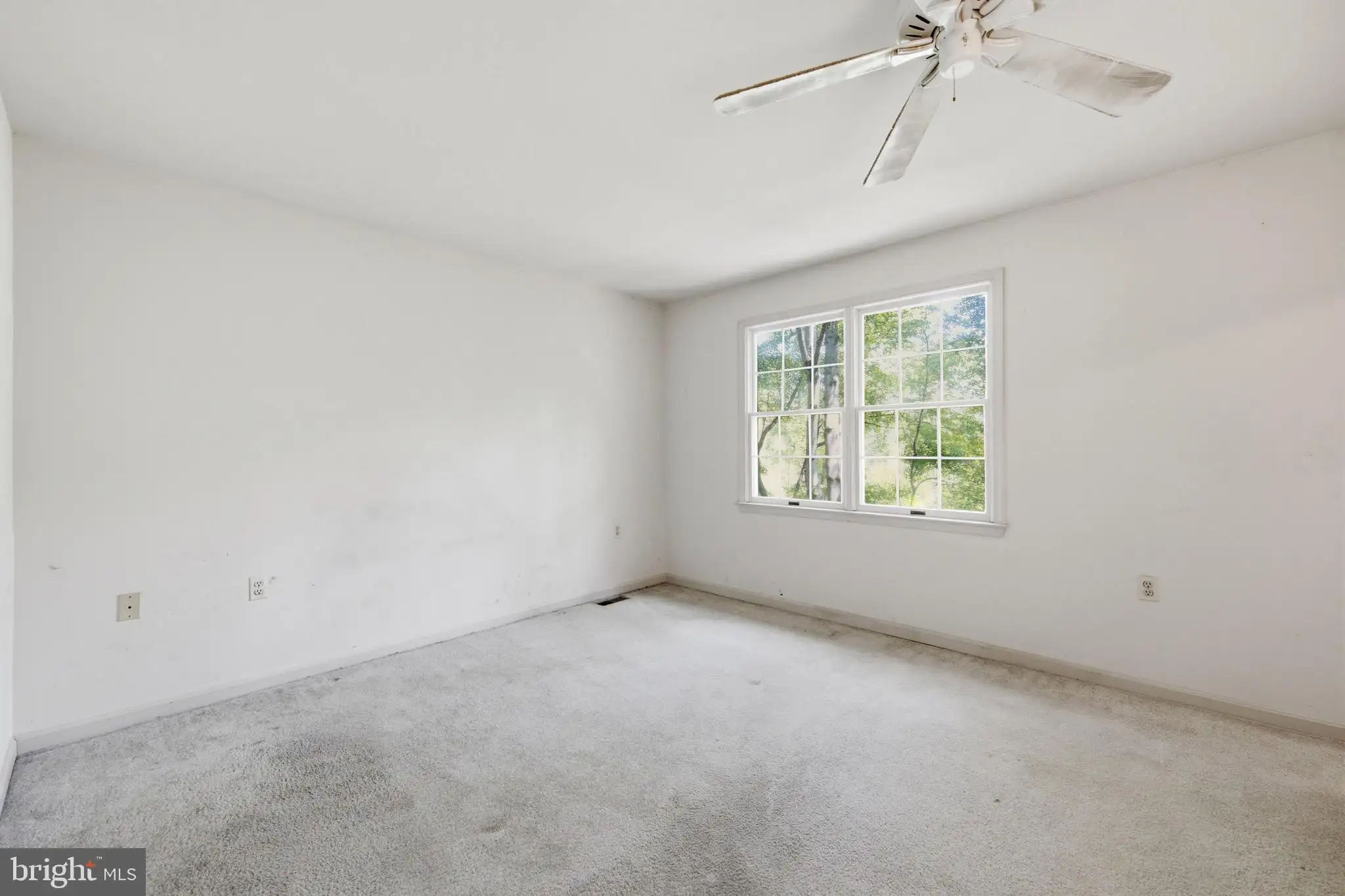 Additional image 39 of 27311 Patricia Court, Federalsburg, MD 21632