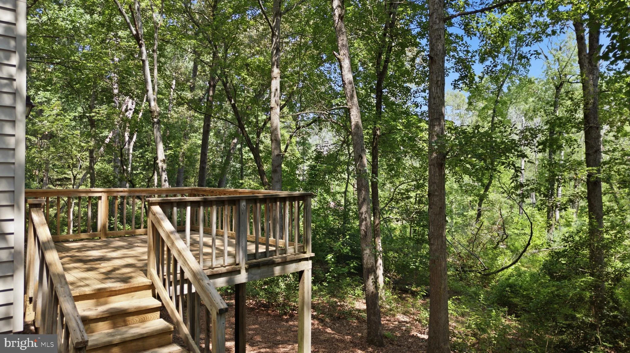 Additional image 42 of 27311 Patricia Court, Federalsburg, MD 21632