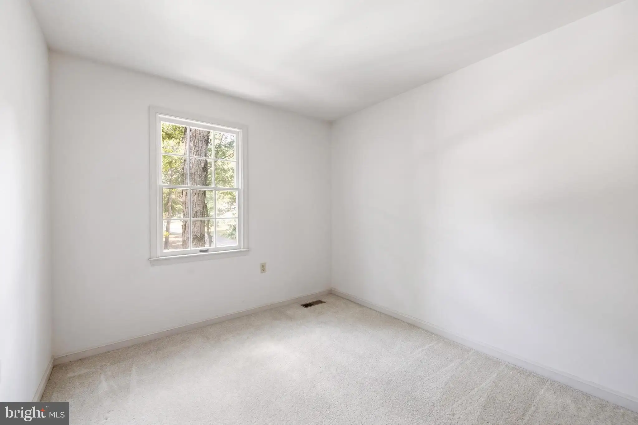 Additional image 38 of 27311 Patricia Court, Federalsburg, MD 21632