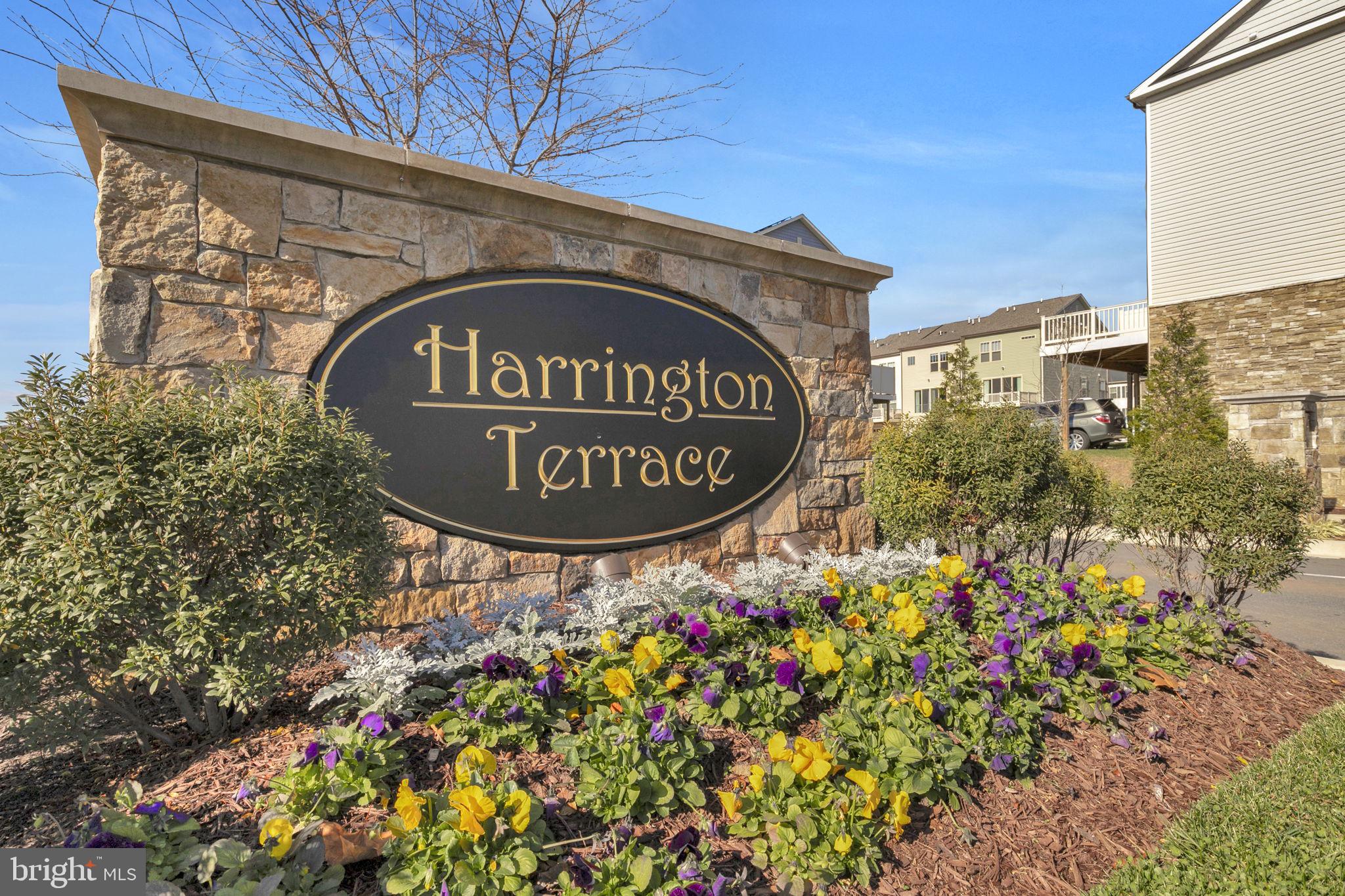 HARRINGTON TERRACE - Residential