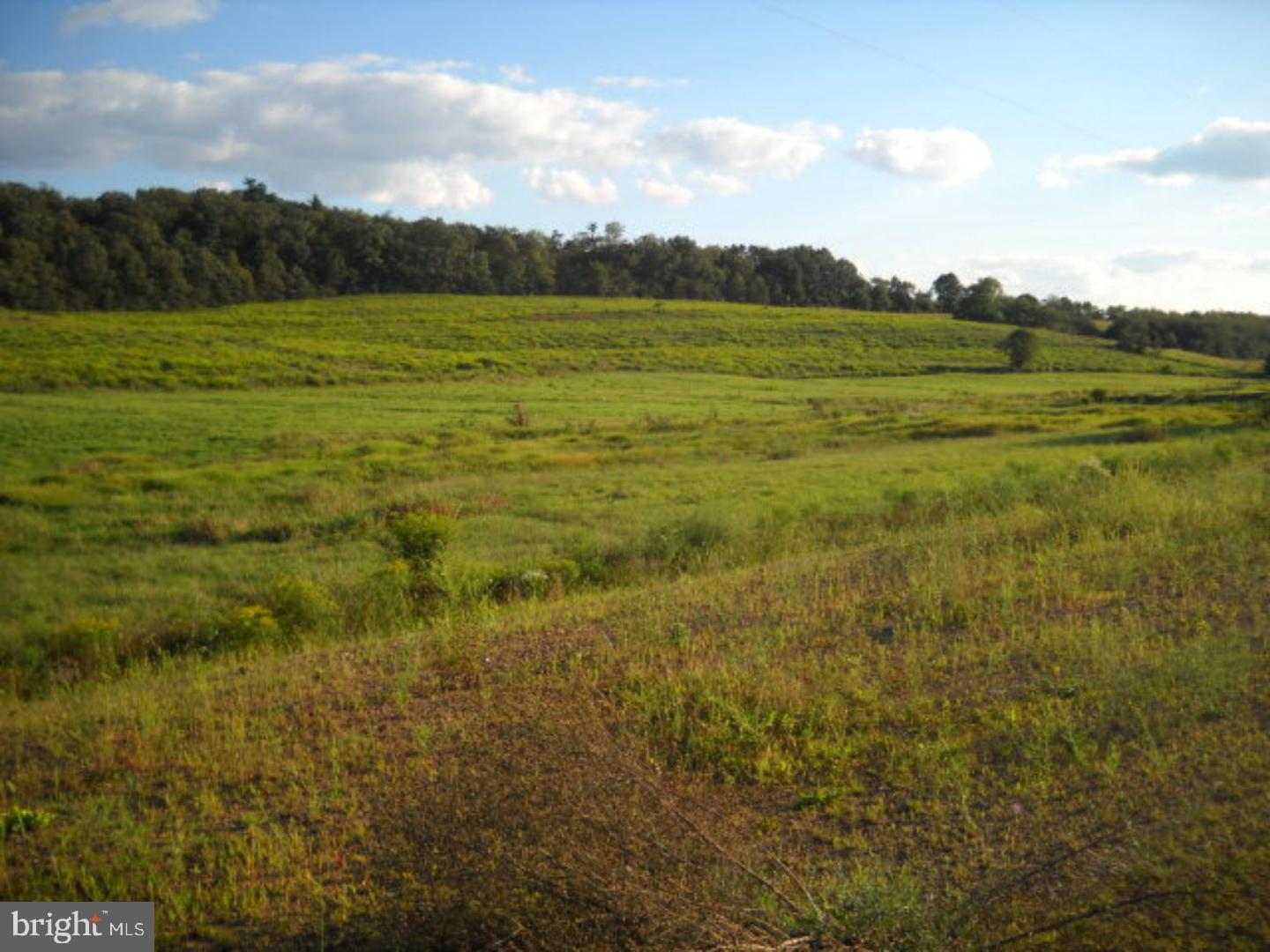 Build your dream home in this picturesque country setting. 12 lots to choose from ranging from 2 to 21 acres. Choose your own builder, flag lot with amazing views, Blue Mountain Schools, conveniently located close to Route 183. Mailing Address Continued: Schuylkill Haven