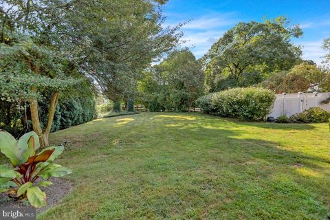 listing image 62