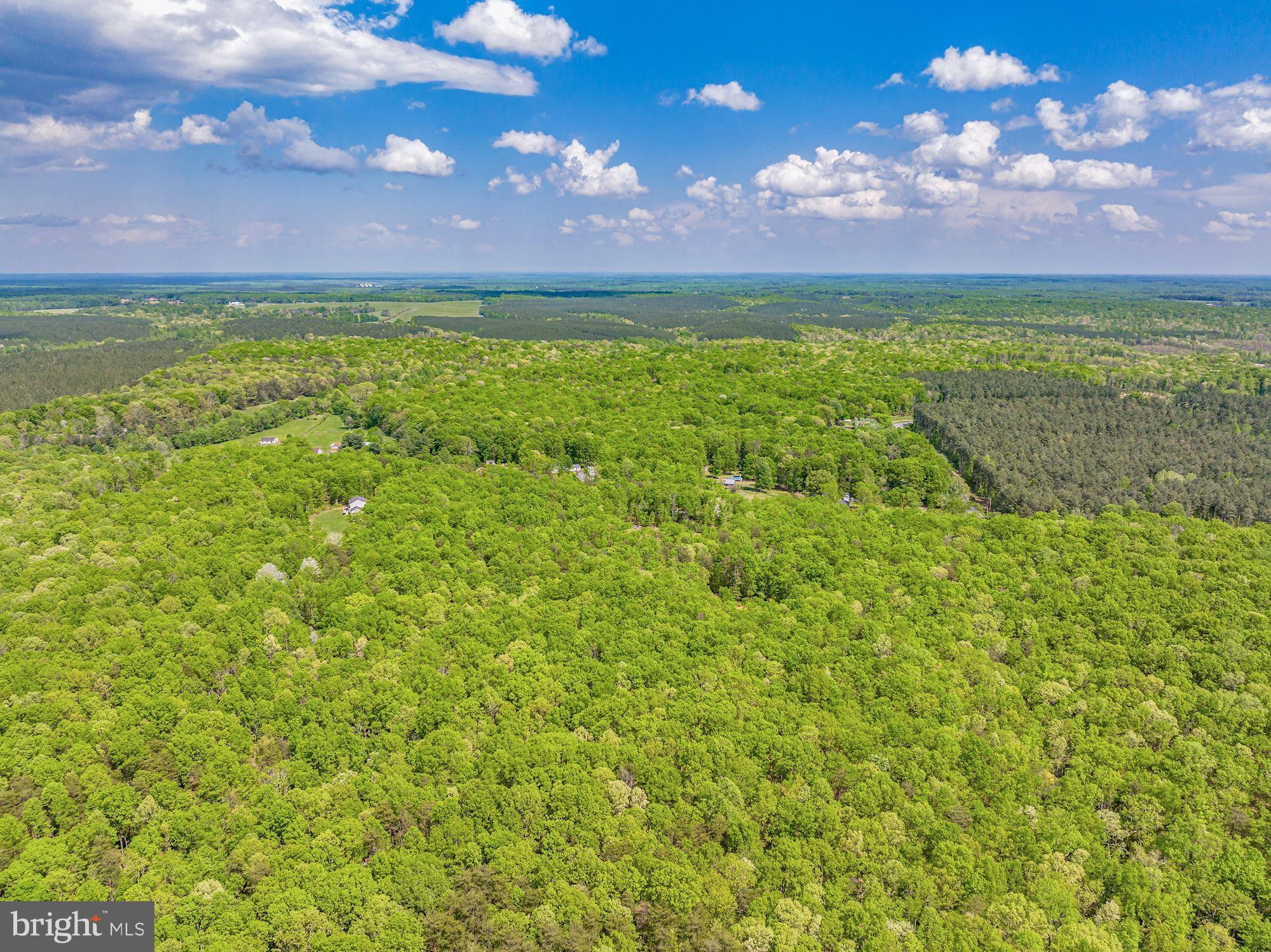 ALBEMARLE - Residential