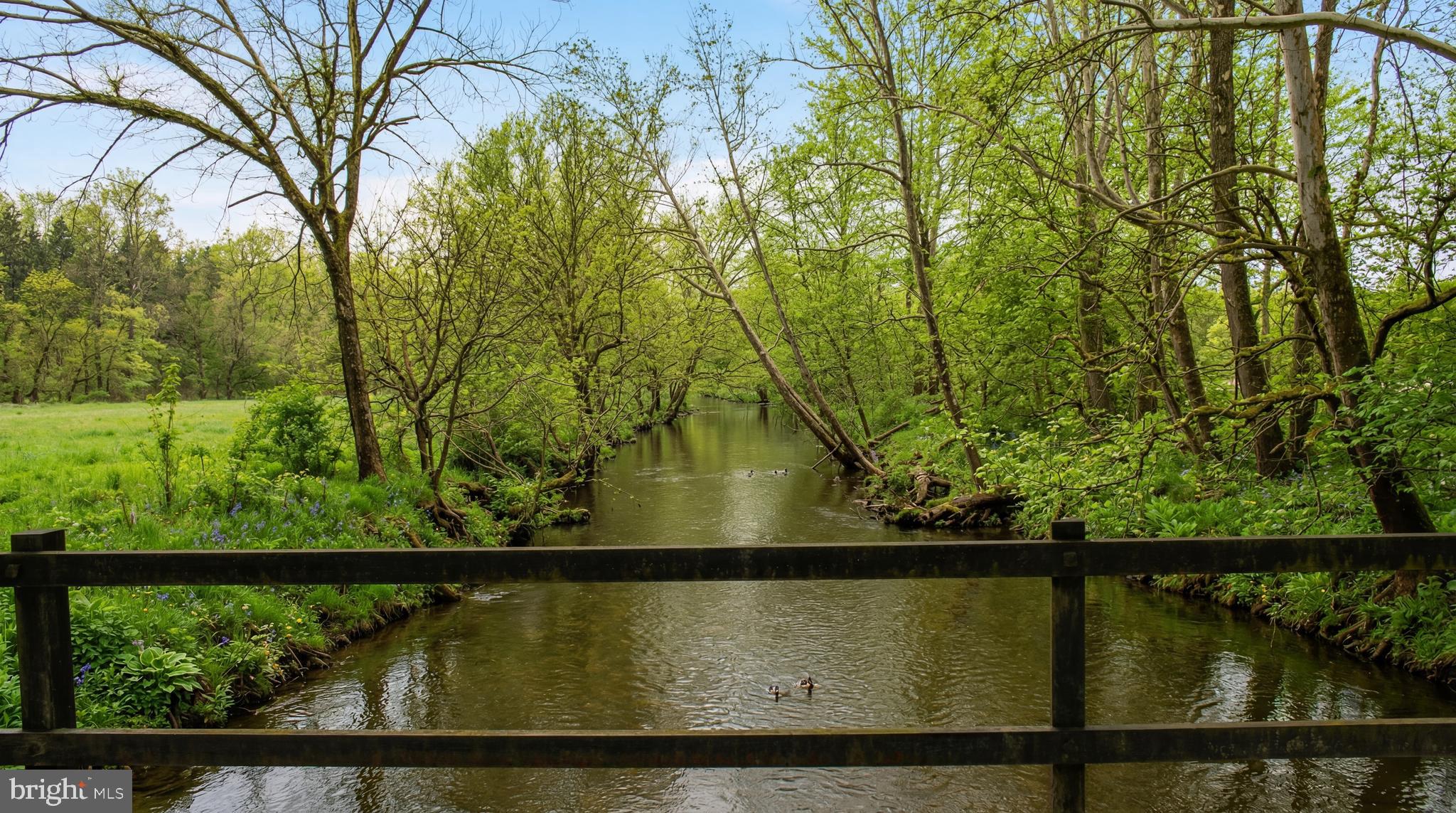 ALBEMARLE - Residential