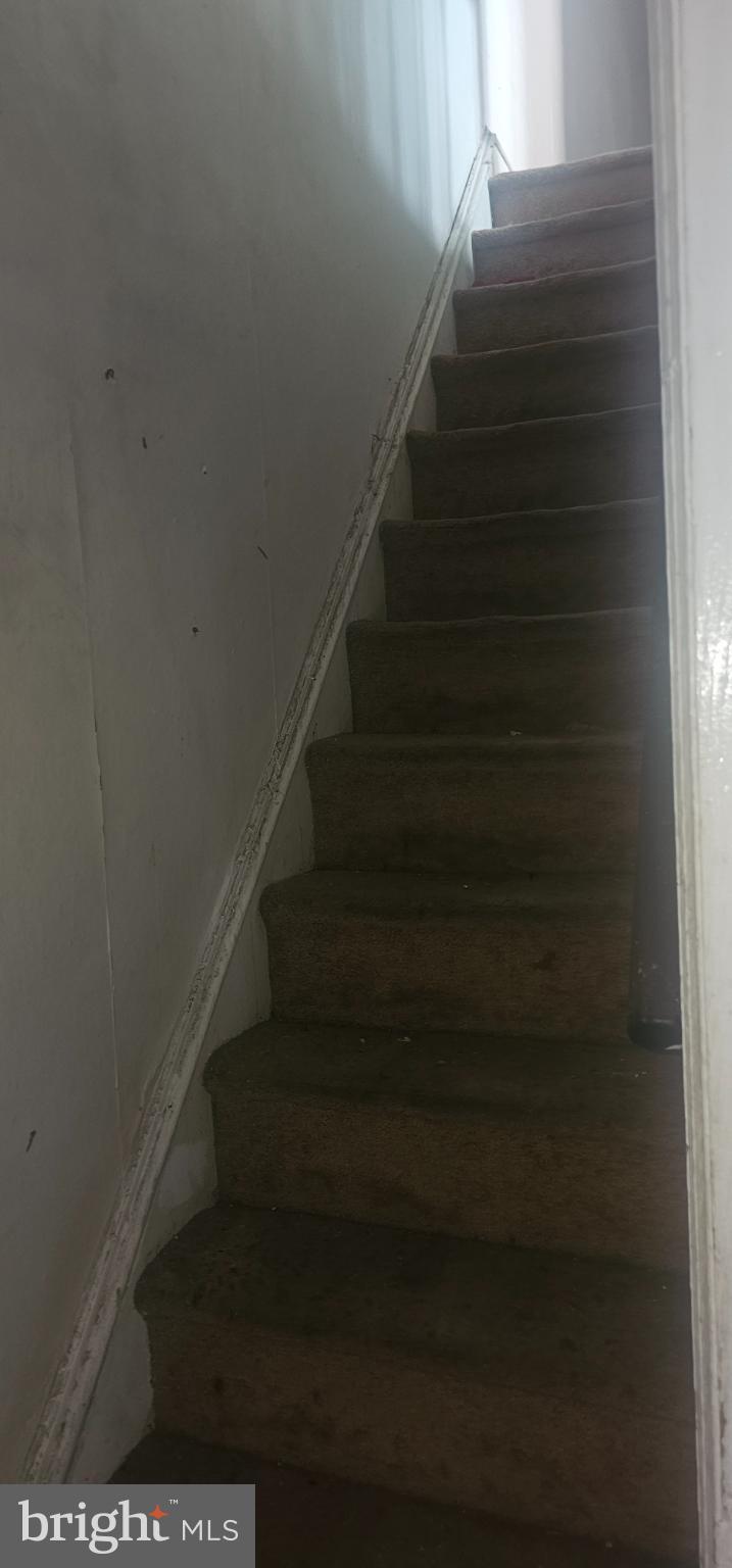 FERN ROCK - Residential