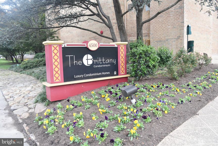 Sun filled unit in impeccable condition in highly sought out Brittany Condominiums. New quartz countertops and subway tile backsplash. Stainless steel appliances and hardwood floors throughout, minus the bedroom and bath. Walk-in closets and master closet with adjustable shelving/hanging. Spectacular view from balcony. Pets are welcomed but NO CATS. Very pet friendly building and community. Extra storage space in the building and 1 reserved parking space. Plenty of street or visitor parking. Enjoy the well maintained common areas/amenities: tennis courts, pool, clubroom room, billiards room, state of the art fitness center, media center/theater room, and conference room. The building is secure with 24 HR concierge. Walk to The Village at Shirlington and enjoy hiking/biking trails and public transportation outside of the building. Easy access to DC. Owner/Listing agent.