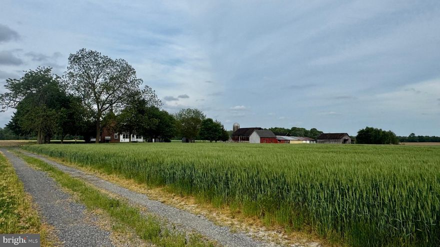 Bridgewater Farm - 12633 CONNELLY ROAD, CORDOVA MD 21625
137± Acres - consisting of approximately 105± tillable, 20± acres of woodland, and the balance around the house, driveway, and hedges.  The property is improved by a circa 1870 brick farmhouse with a basement and several sheds, barn, well, and septic.  Health Department information on file showing 1980 septic and 1986 well.  Property sold ‘as-is’.  **Existing farm lease. Call agent for details.
The residence provides late-19th-century architecture that is remarkably intact for a rural brick farmhouse.  Significant features include the 13 cornices along the northern portion of the house, thick masonry walls, and brick lintel detailing above the windows.  Later additions include the kitchen wing with a bedroom above and a three-season porch.  There are two basements with a dirt floor and shoring with an interior concrete block retaining wall.  The underside of the house is accessible to witness the condition and assess for renovation.
Additional structures include a period barn and sheds.


Offers considered beginning 5.13.26 to allow adequate time on the market. 
Showing by appointment only.