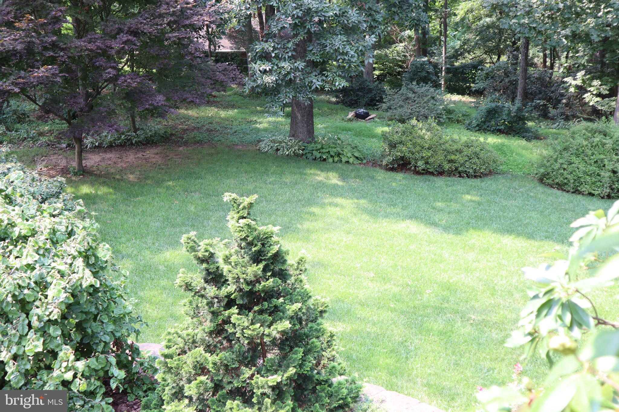 MAYDALE - Residential Lease