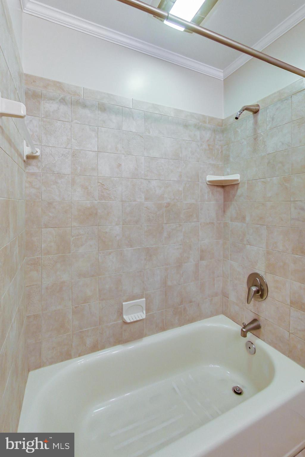 MAYDALE - Residential Lease