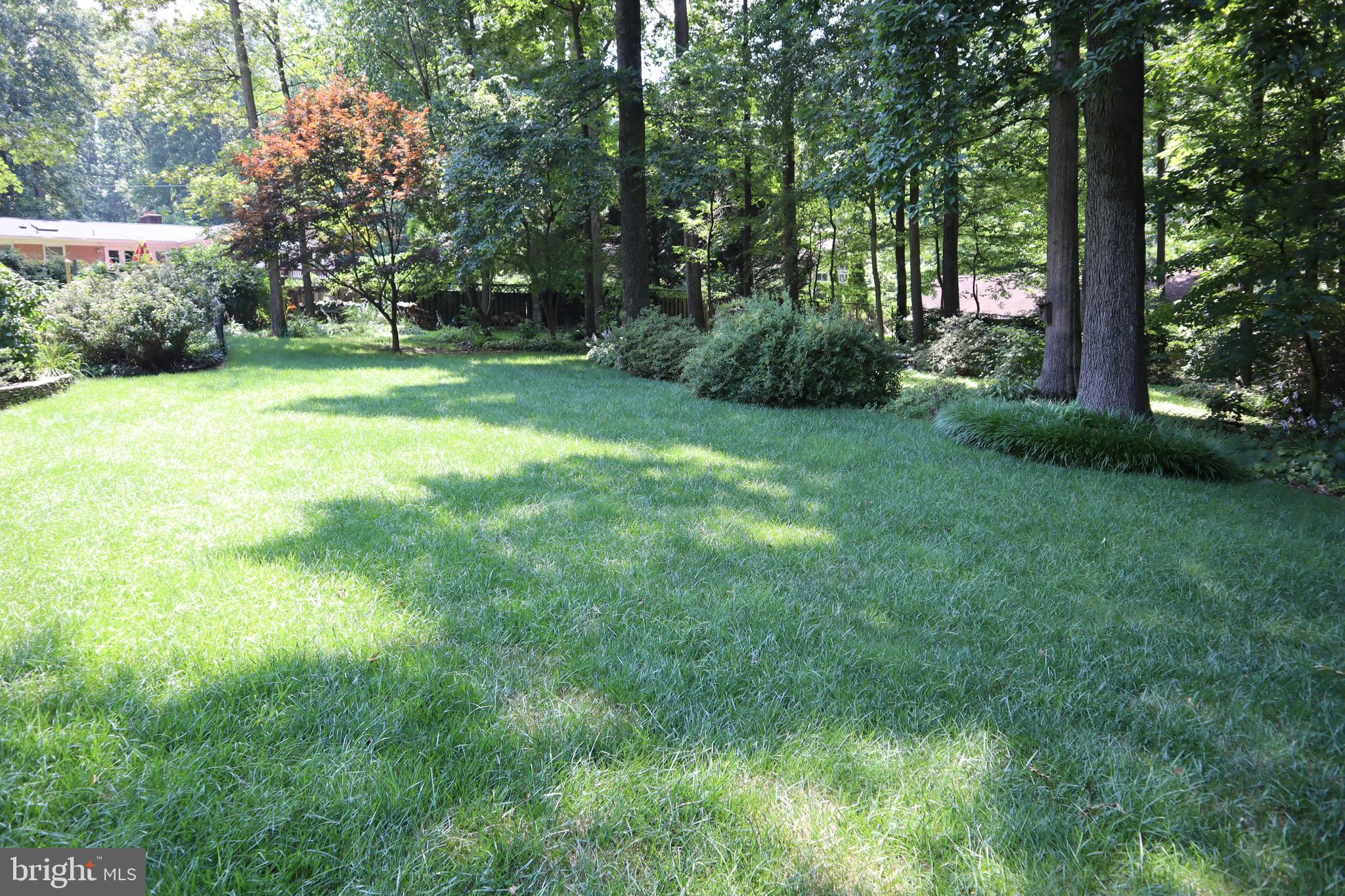 MAYDALE - Residential Lease