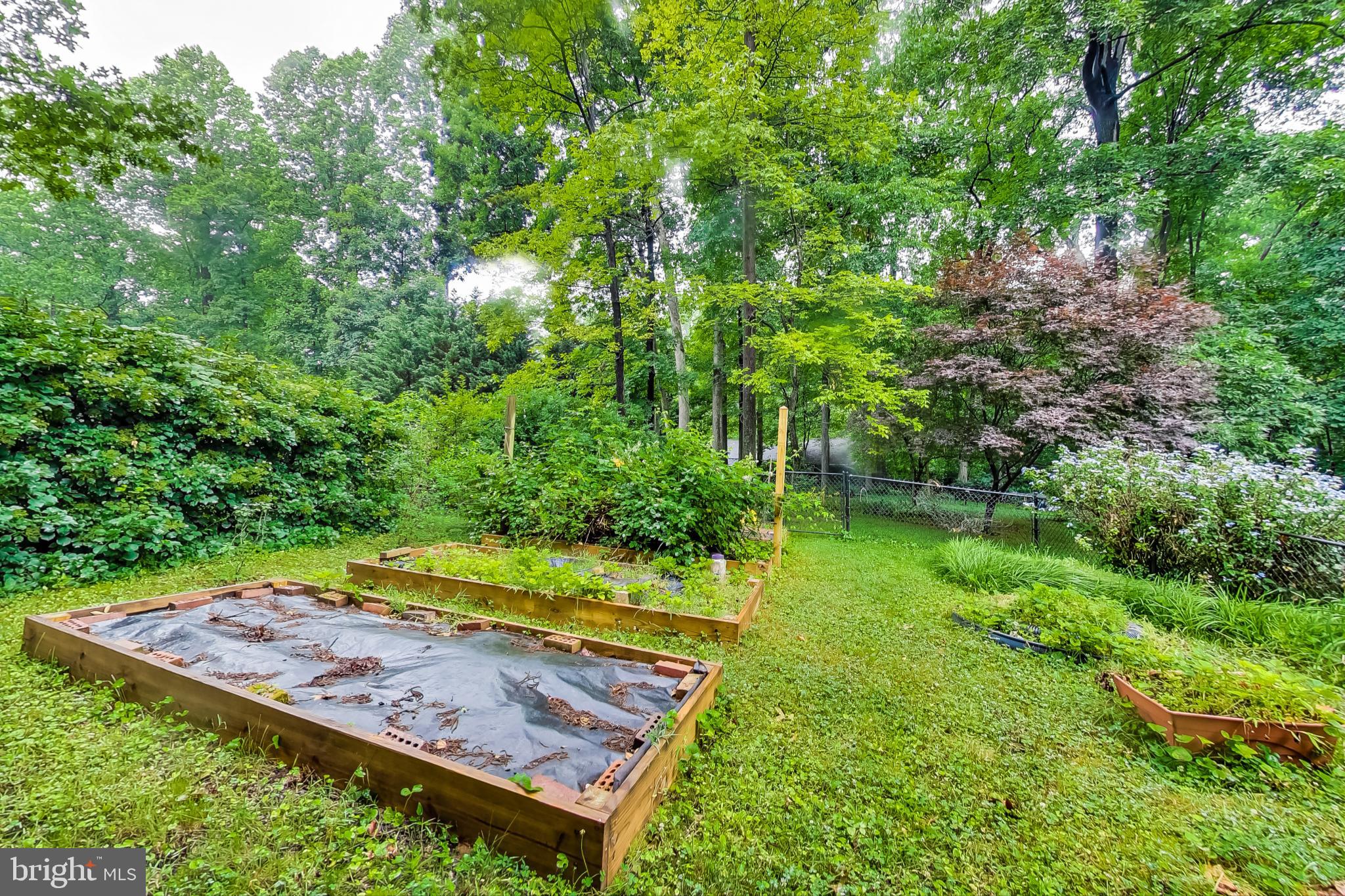 MAYDALE - Residential Lease