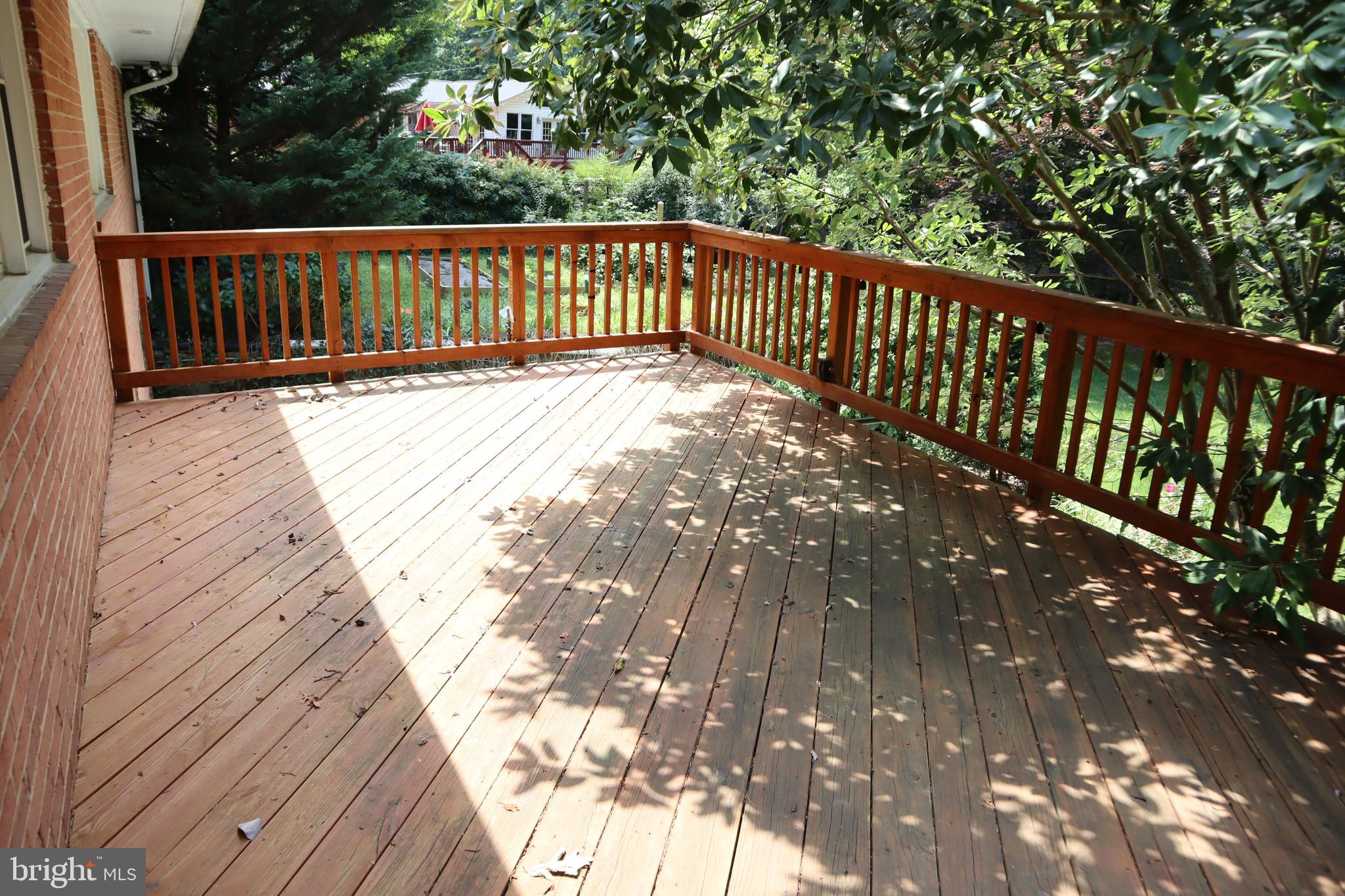 MAYDALE - Residential Lease