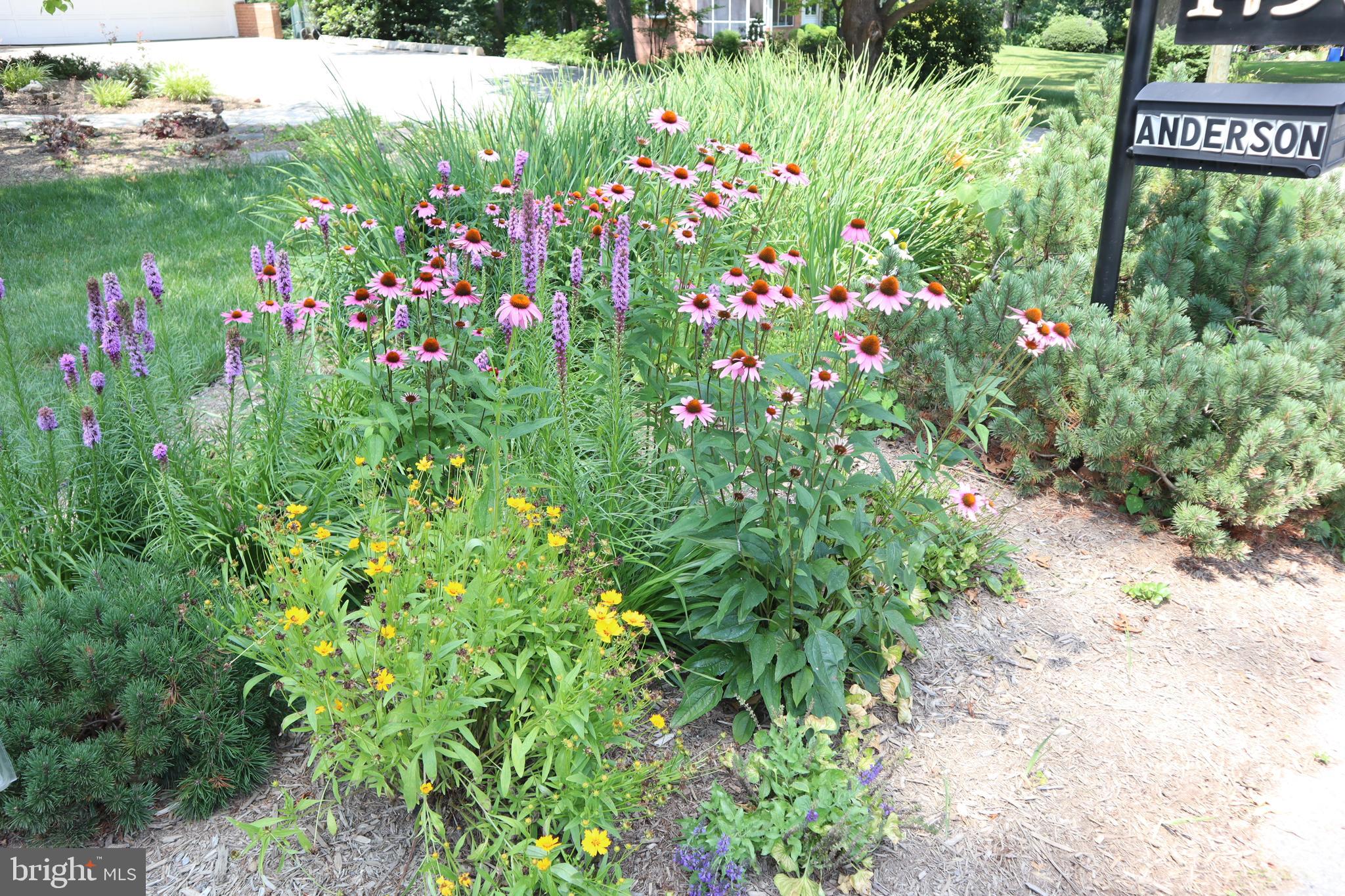 MAYDALE - Residential Lease