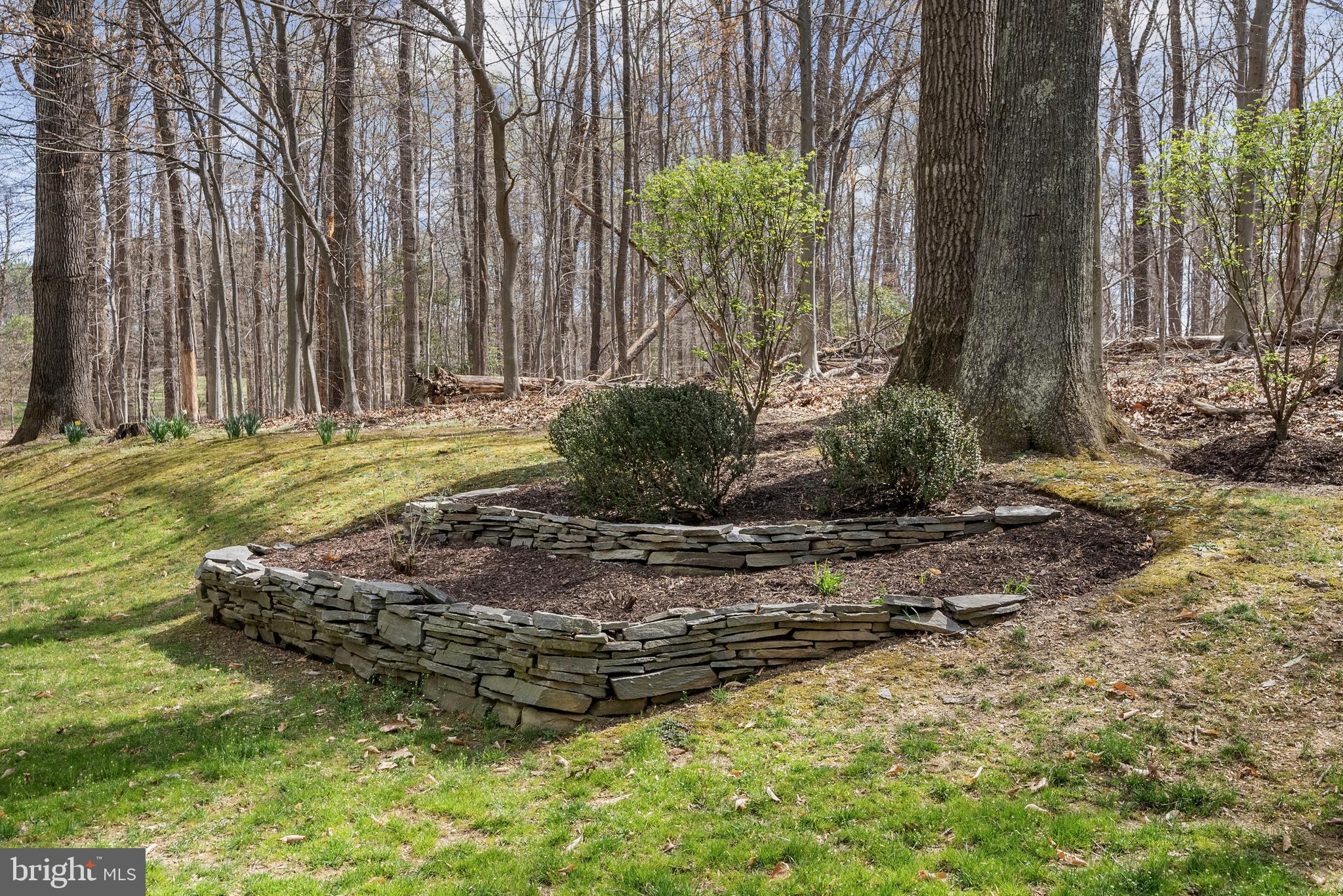 WALKER WOODS FARM - Residential