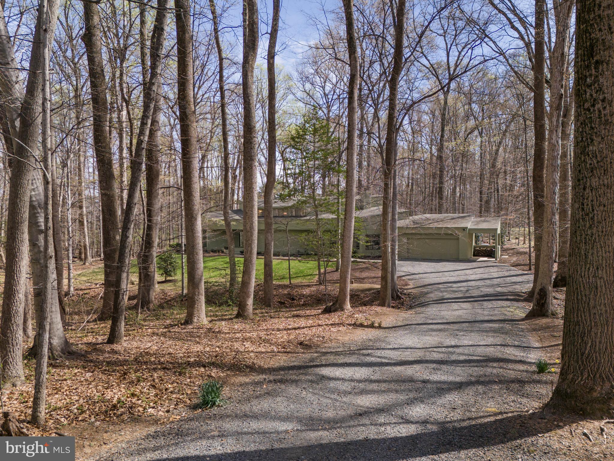 10116 WALKER WOODS DRIVE