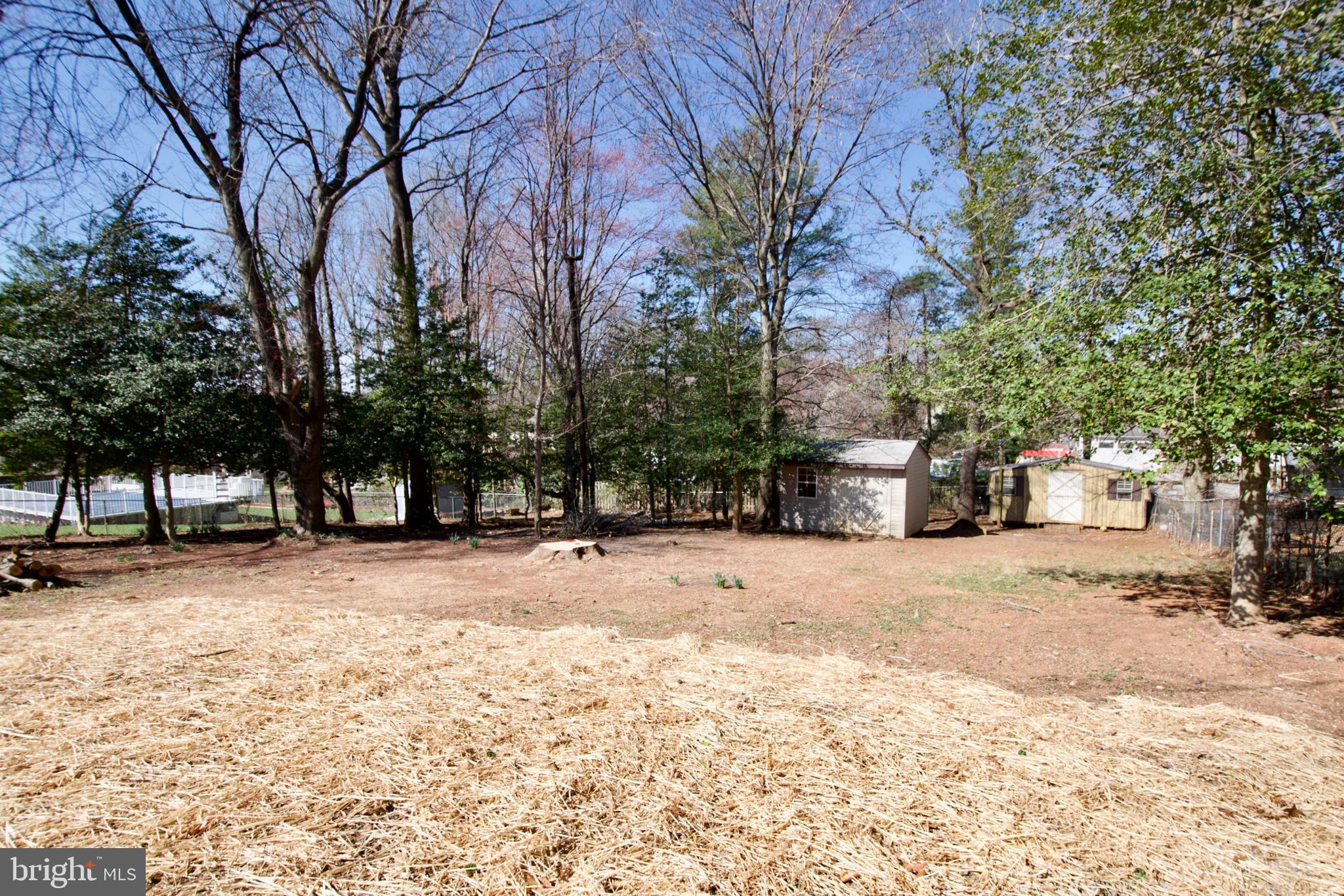 SHENANDOAH - Residential