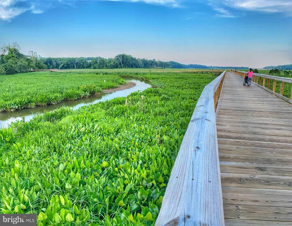 DAWSON LANDING - Residential