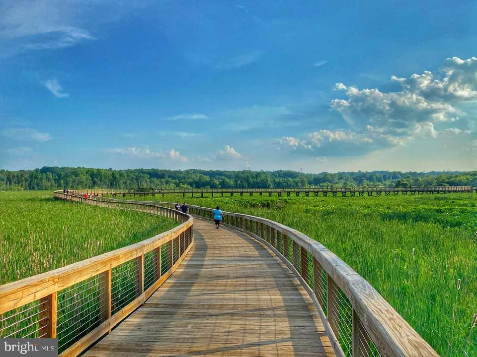 DAWSON LANDING - Residential