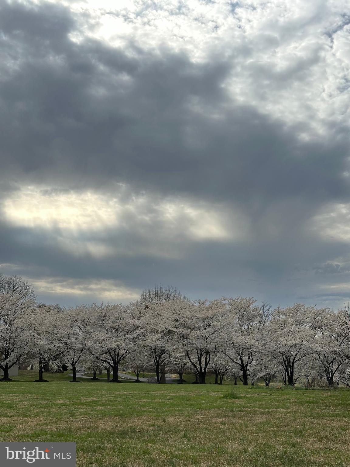 DOWN PATRICK FARM - Residential