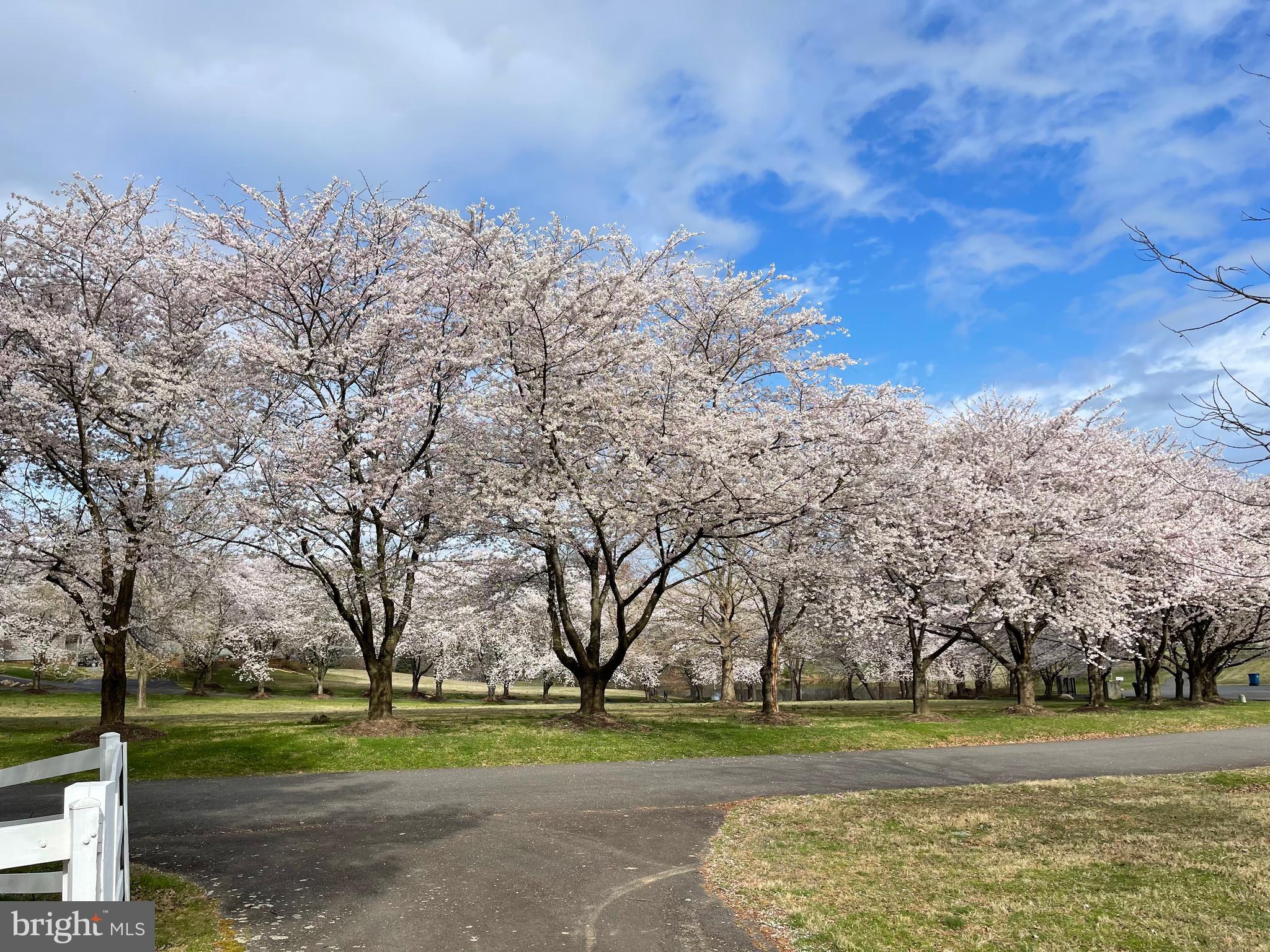 DOWN PATRICK FARM - Residential