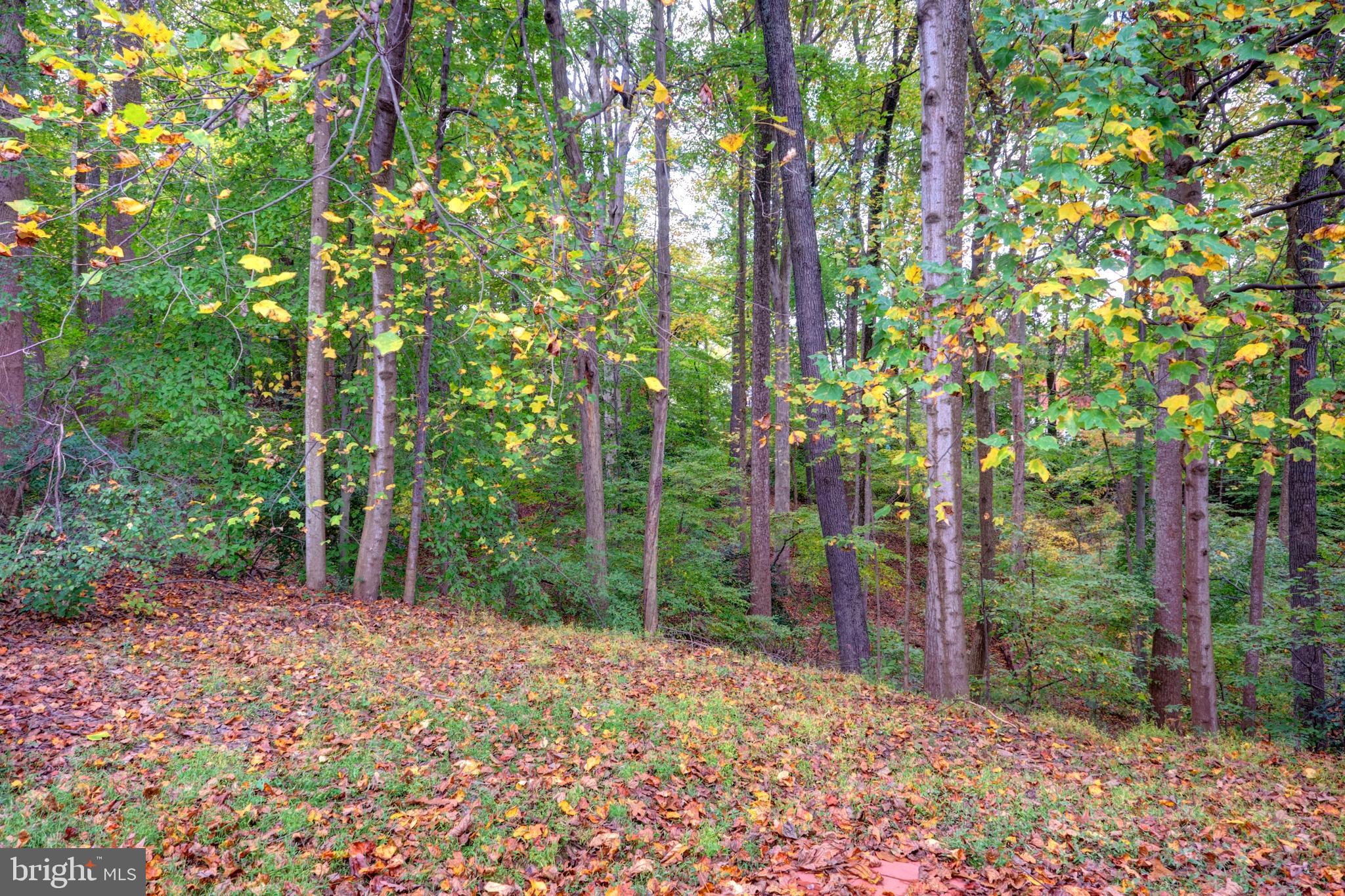 WOODSTREAM - Residential