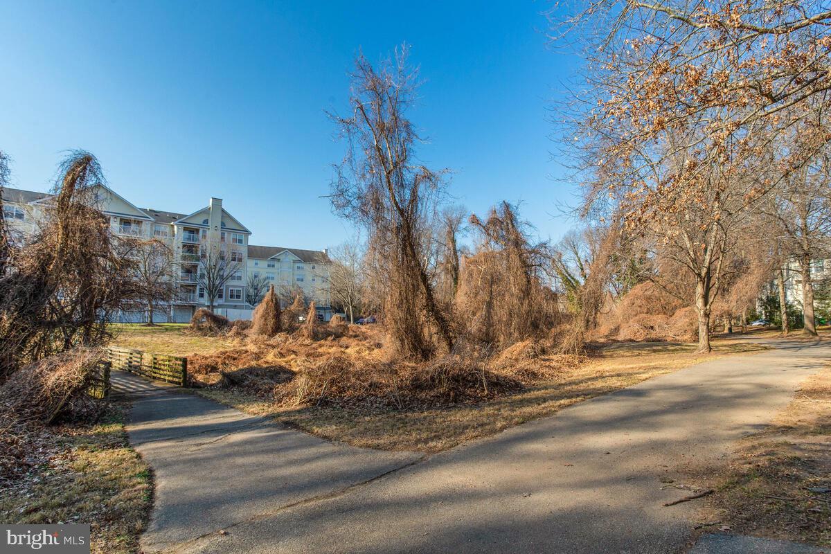 VILLAGES OF MARLBOROUGH - Residential