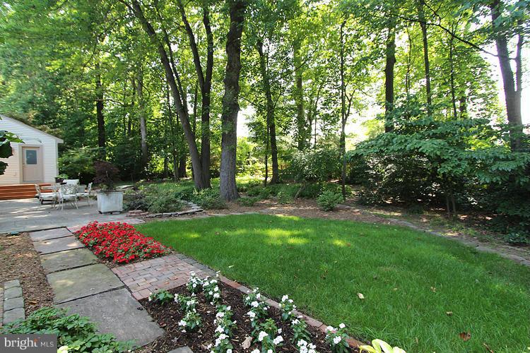 LINDSAY PARK - Residential