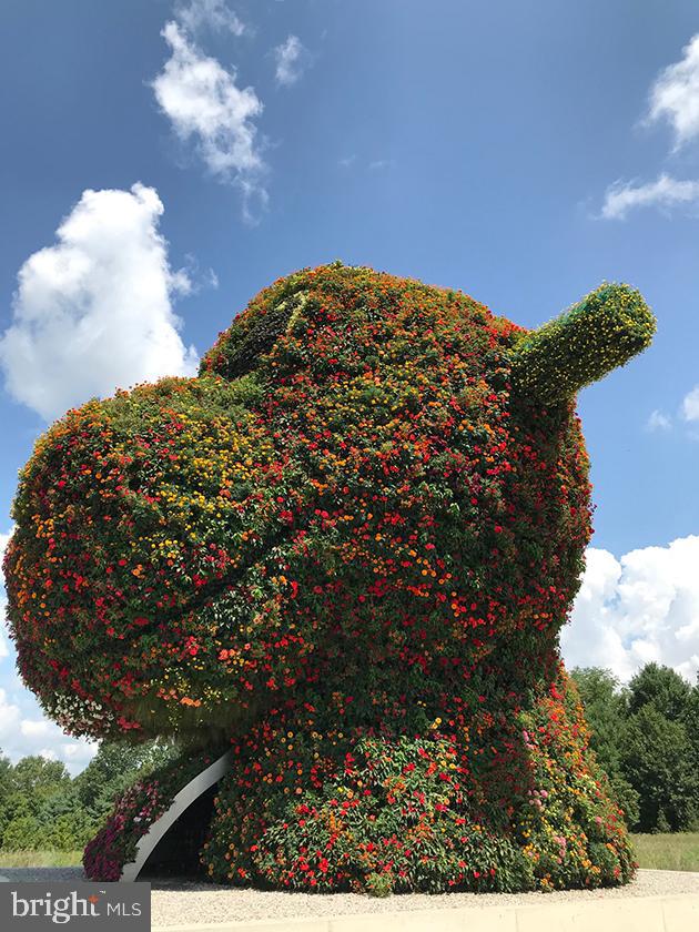 LAKE NORMANDY ESTATES - Residential