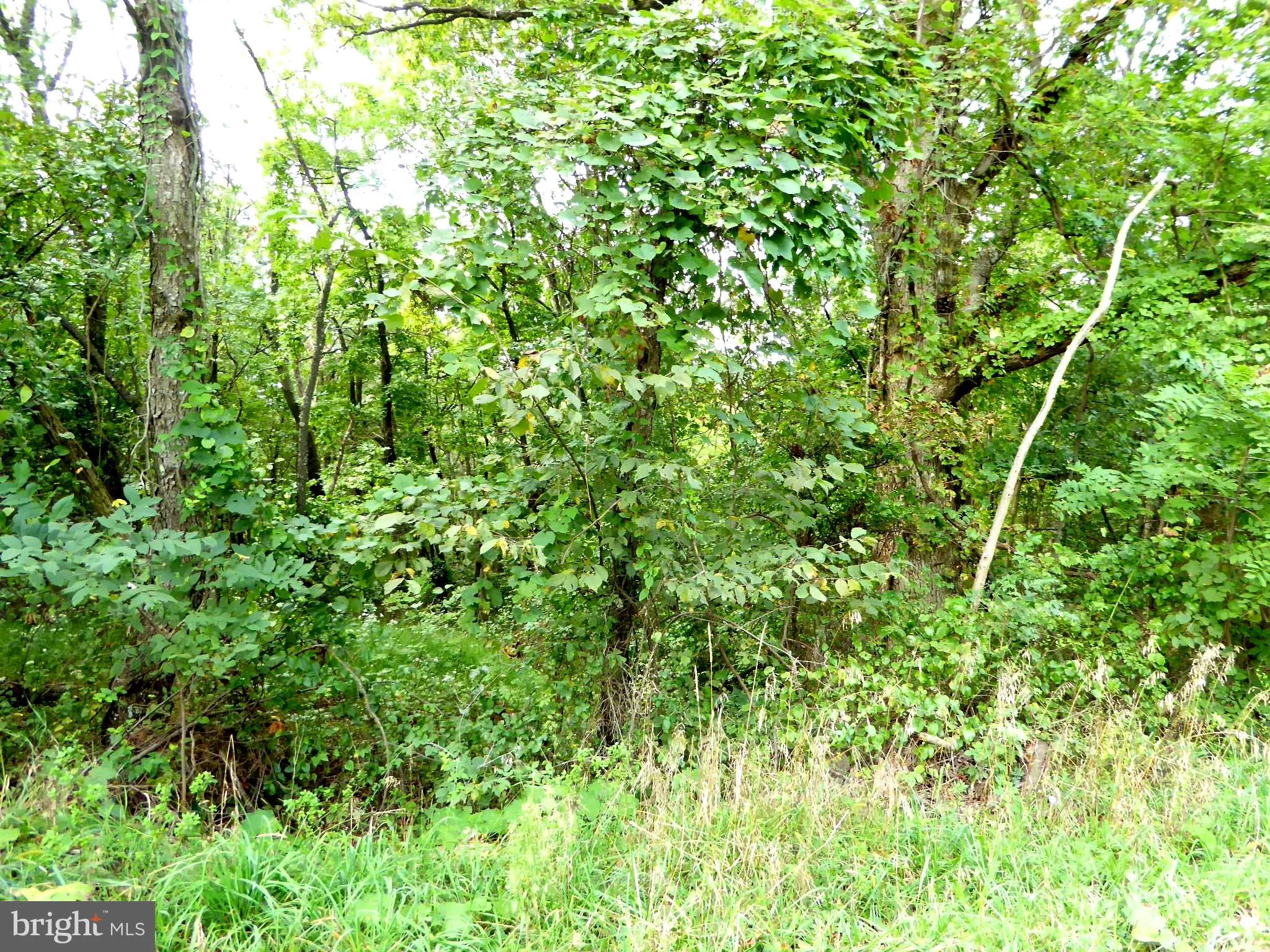 Babbling Brook Lane, Romney, WV 26757