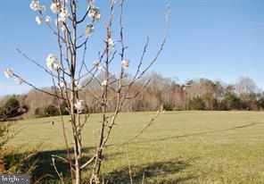 Corner of 651 and 632 SUMERDUCK RD AND ROGERS FORD RD INTERSECTION