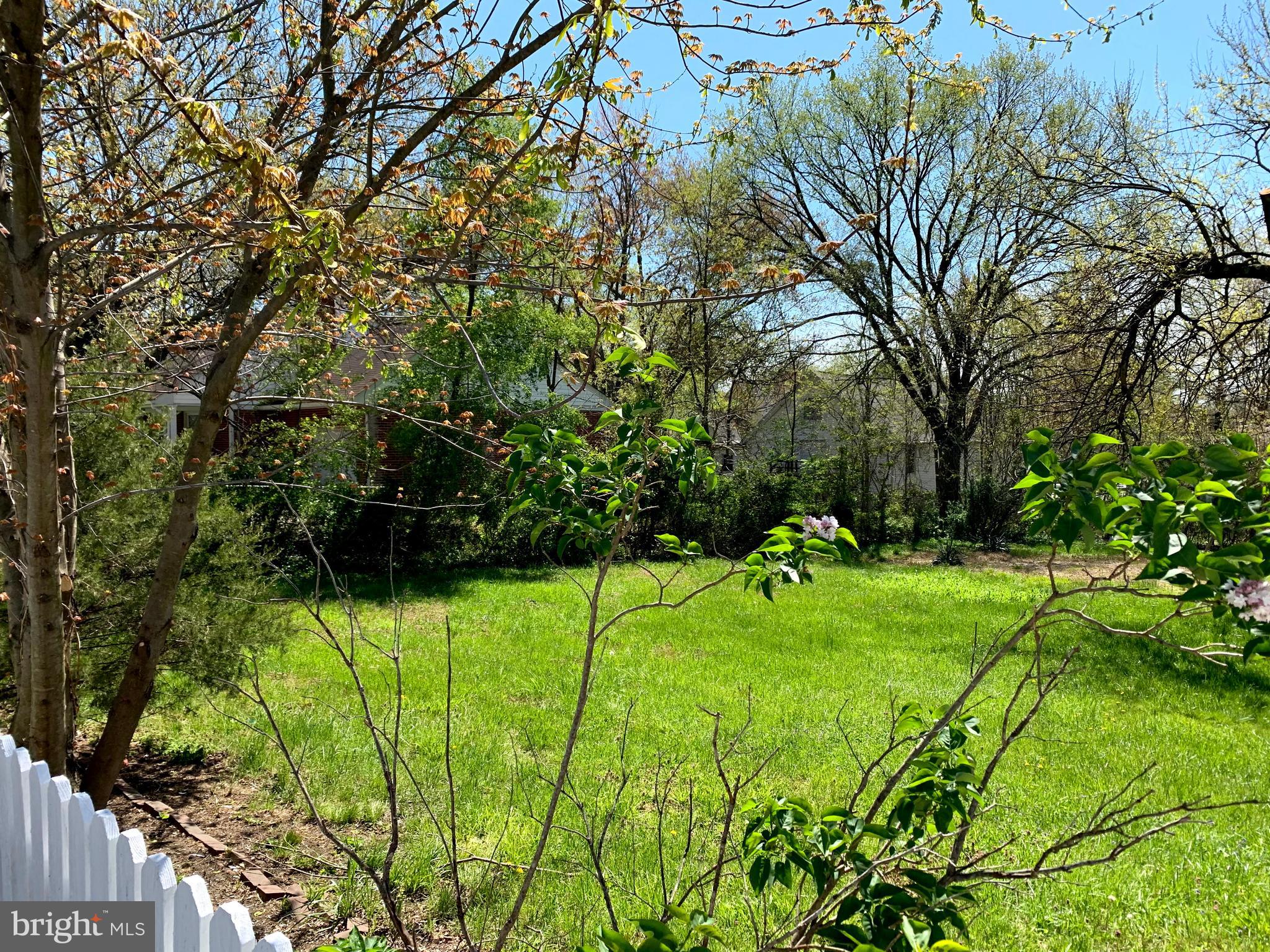 BOWIE - Residential Lease