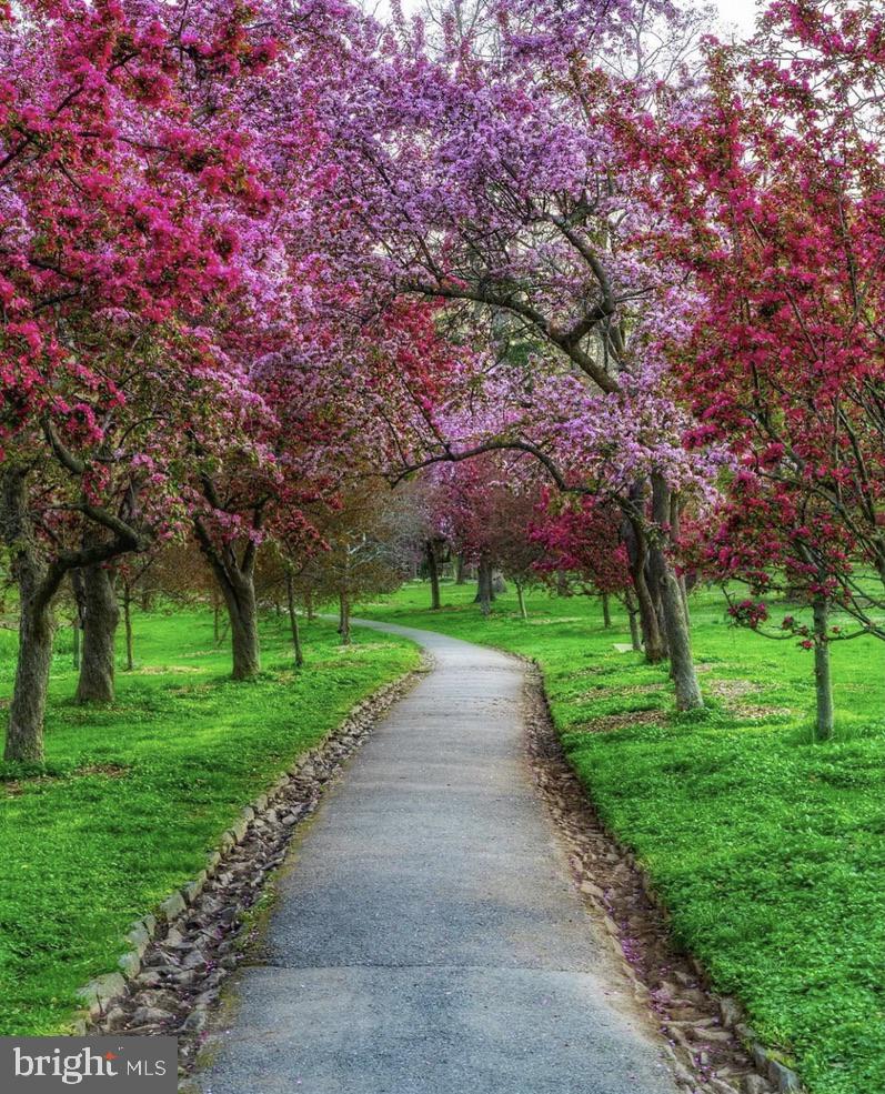 WEST CHESTER BORO - Residential