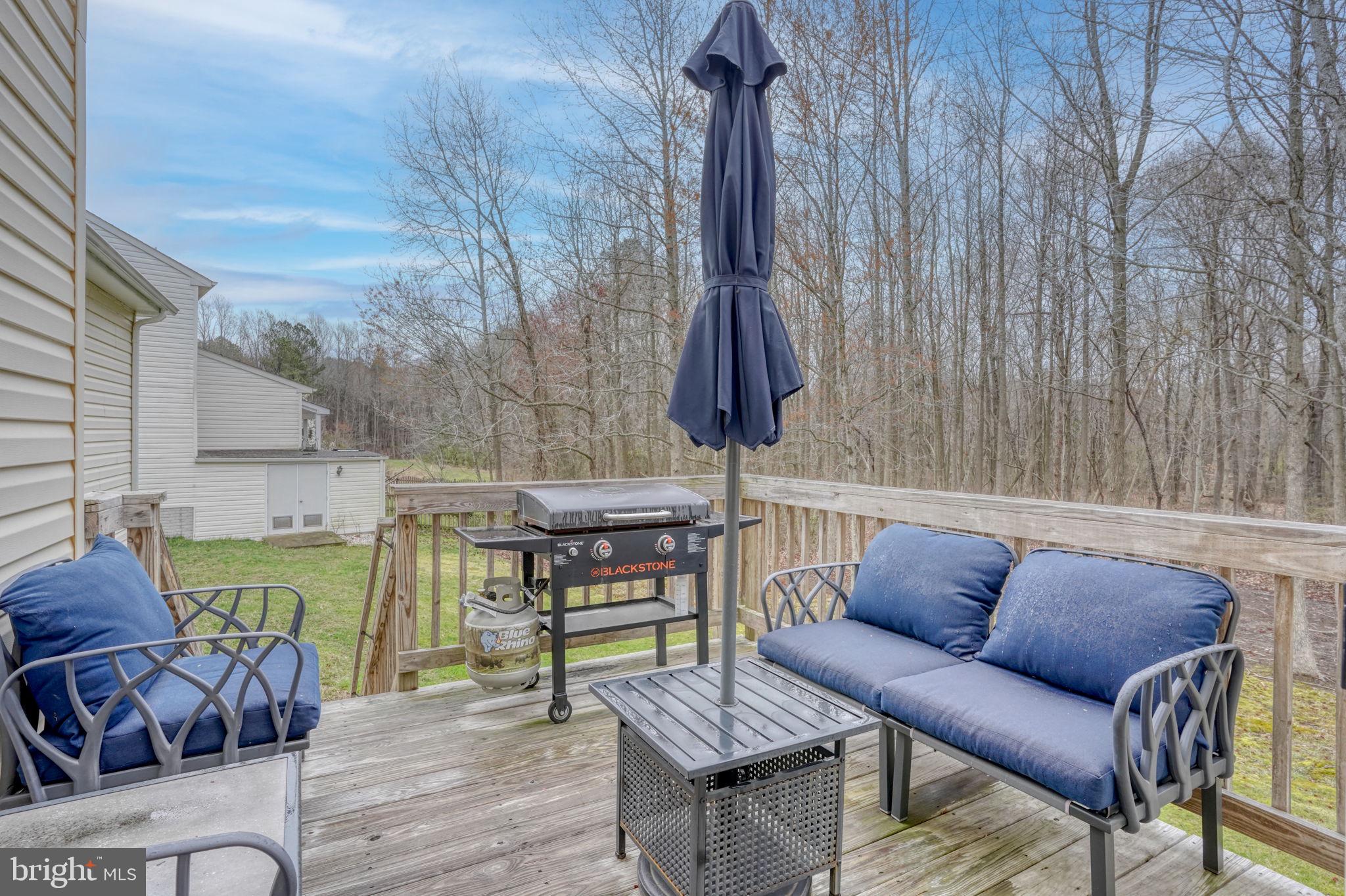 HUNTERS MILL - Residential