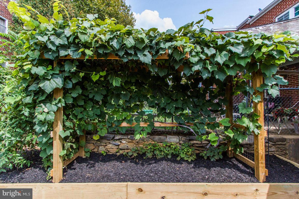 CABBAGE HILL - Residential