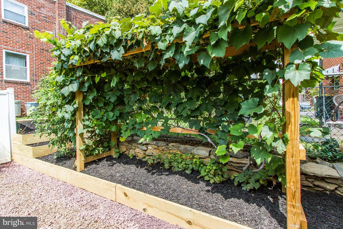 CABBAGE HILL - Residential