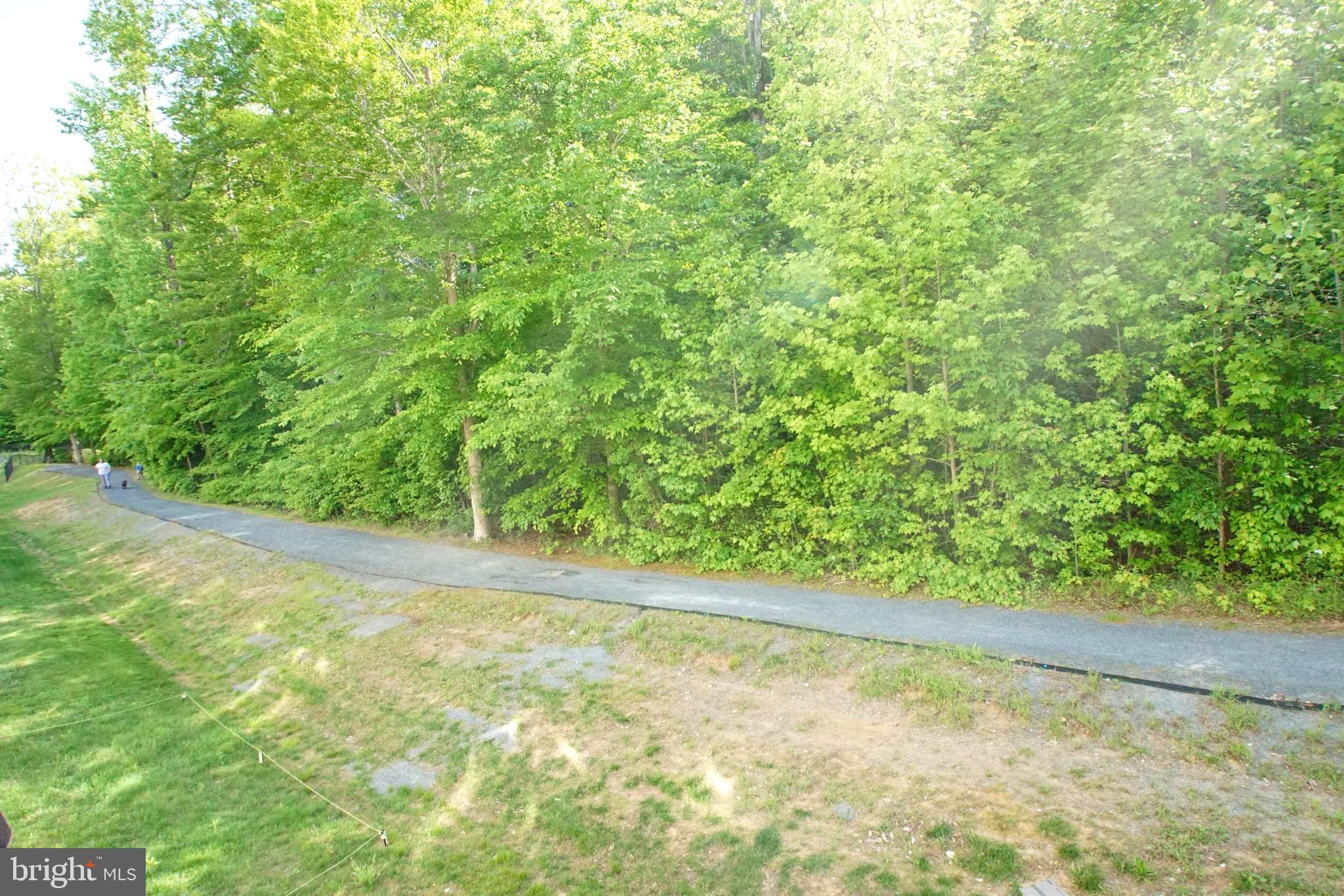 HOLLY WOODS - Residential