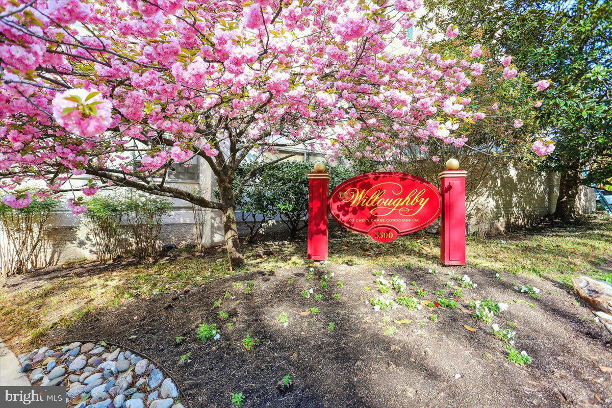 CHEVY CHASE - Residential